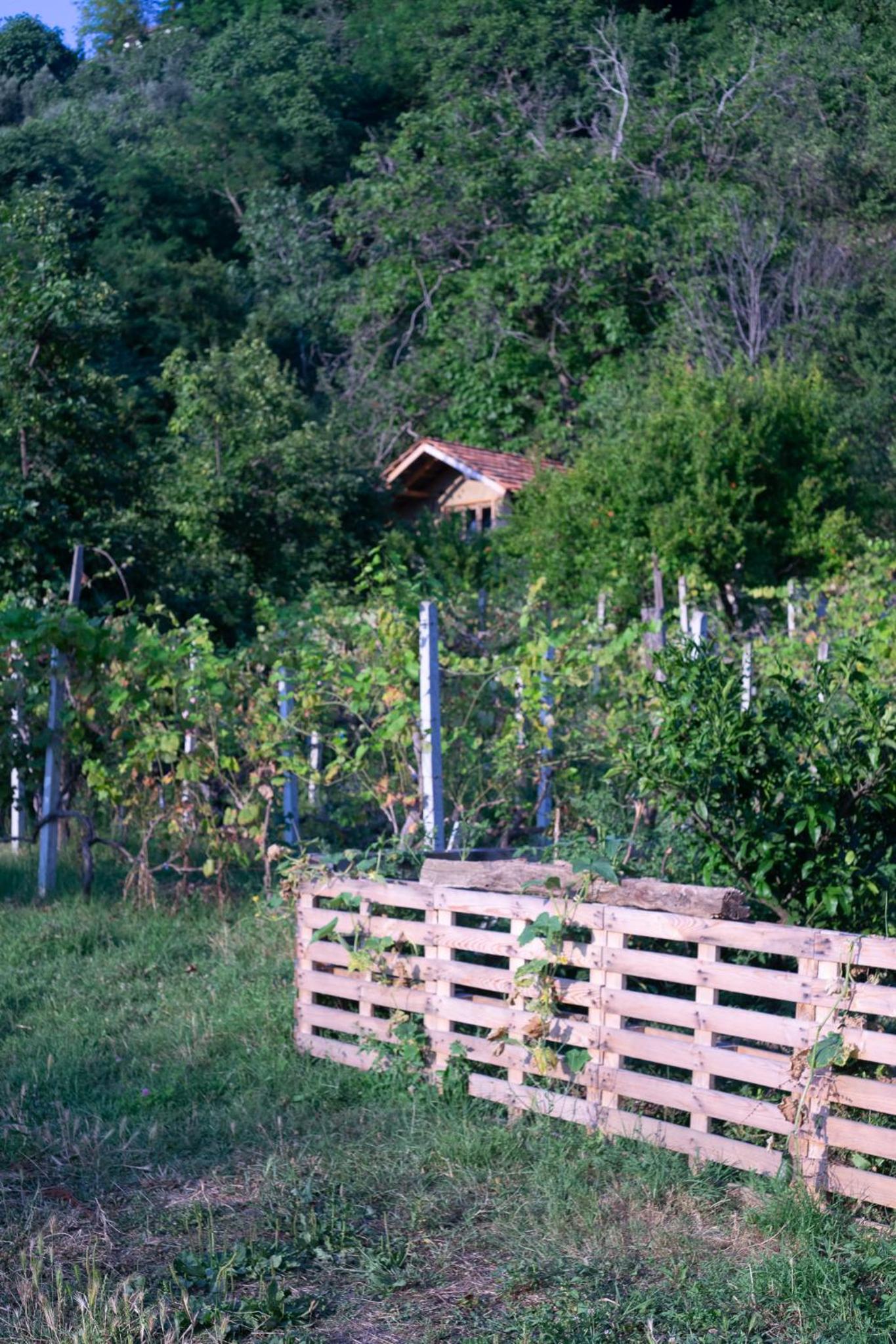 The house in the village