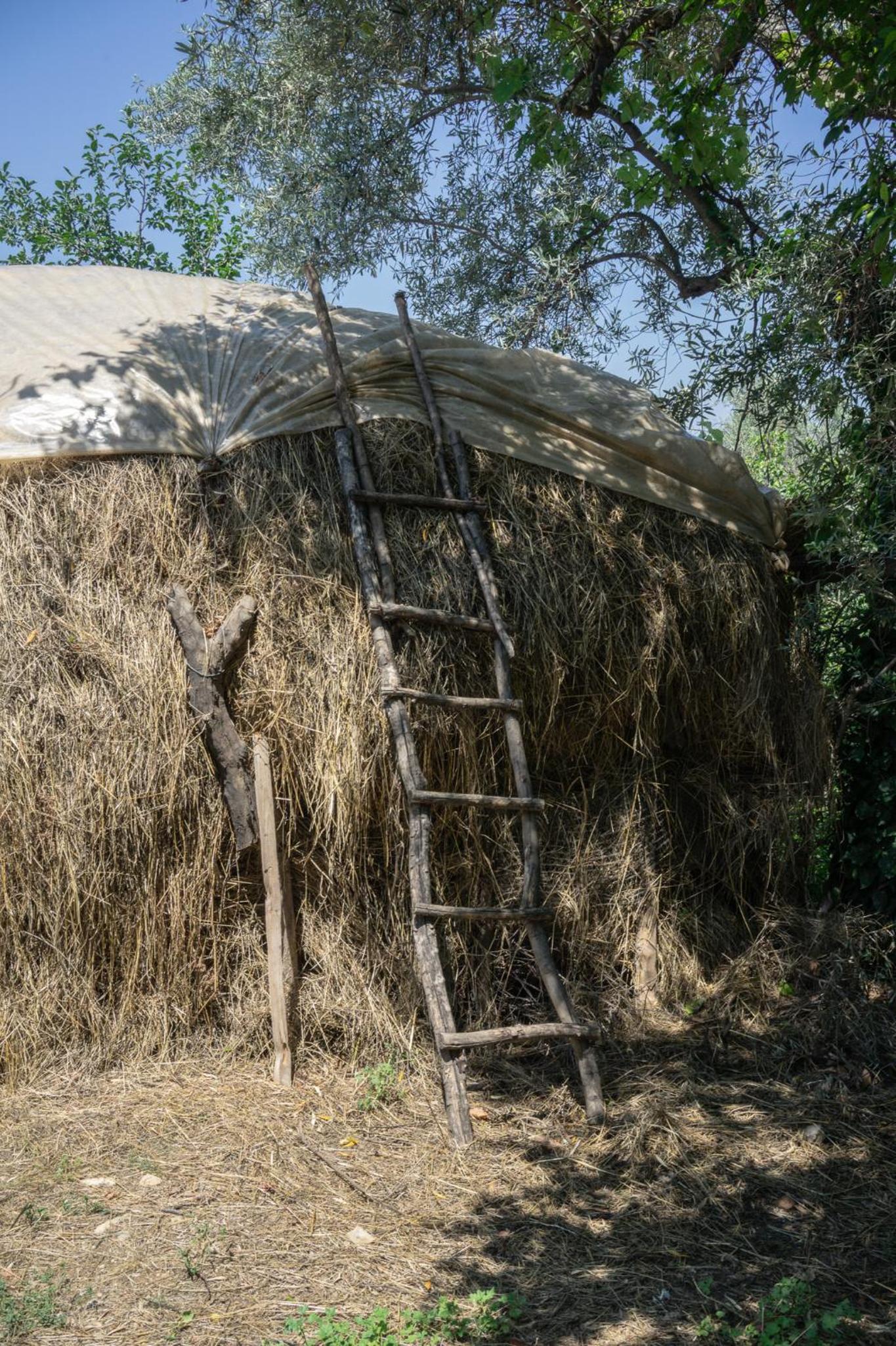 The house in the village