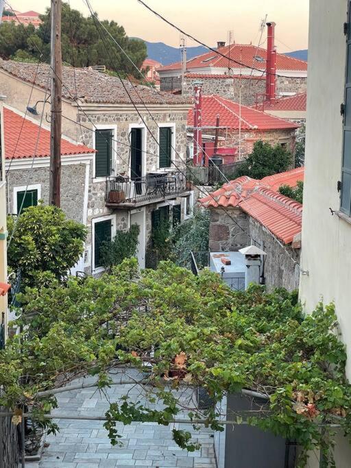 Melianto House