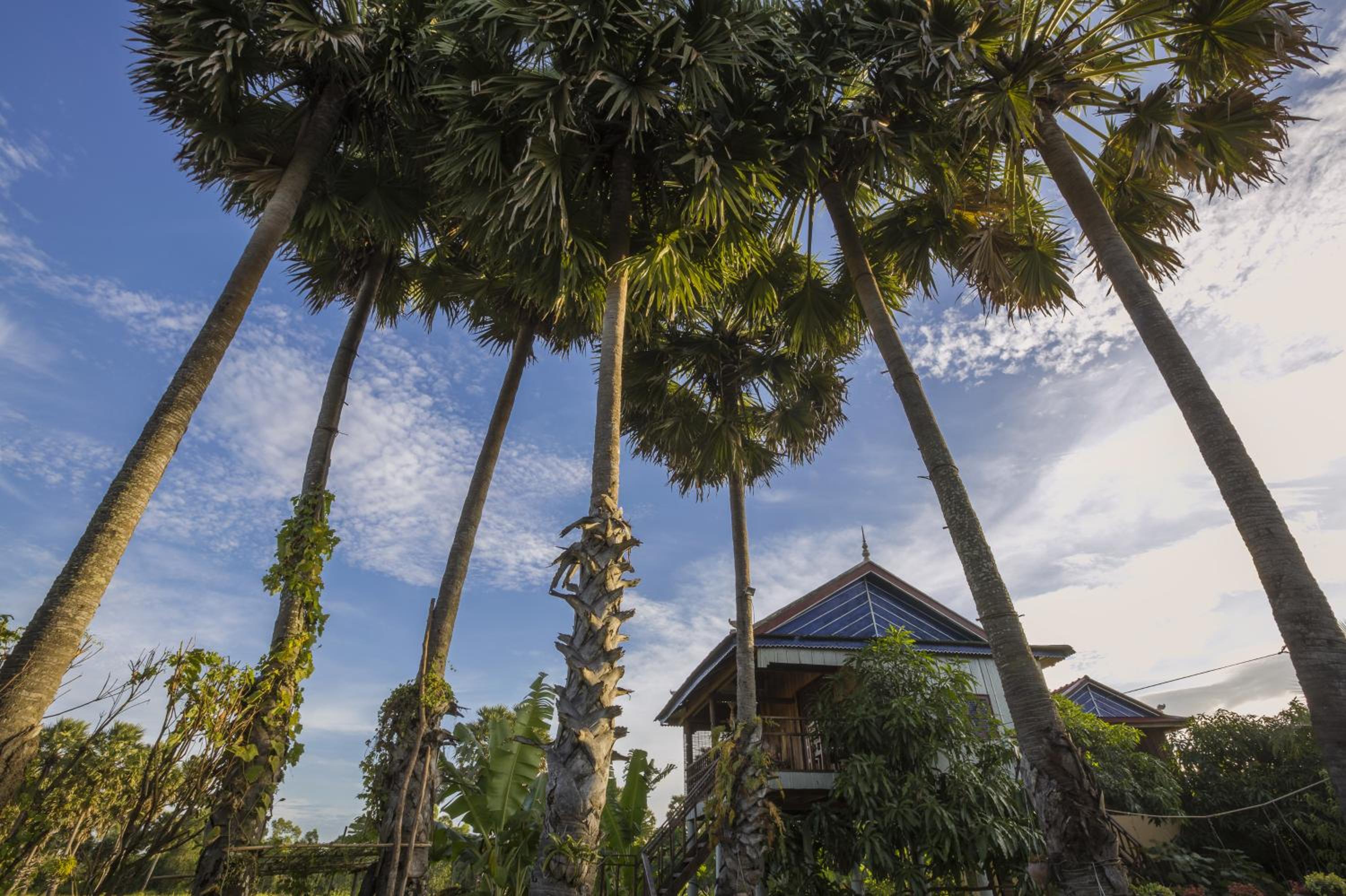 Champa Lodge