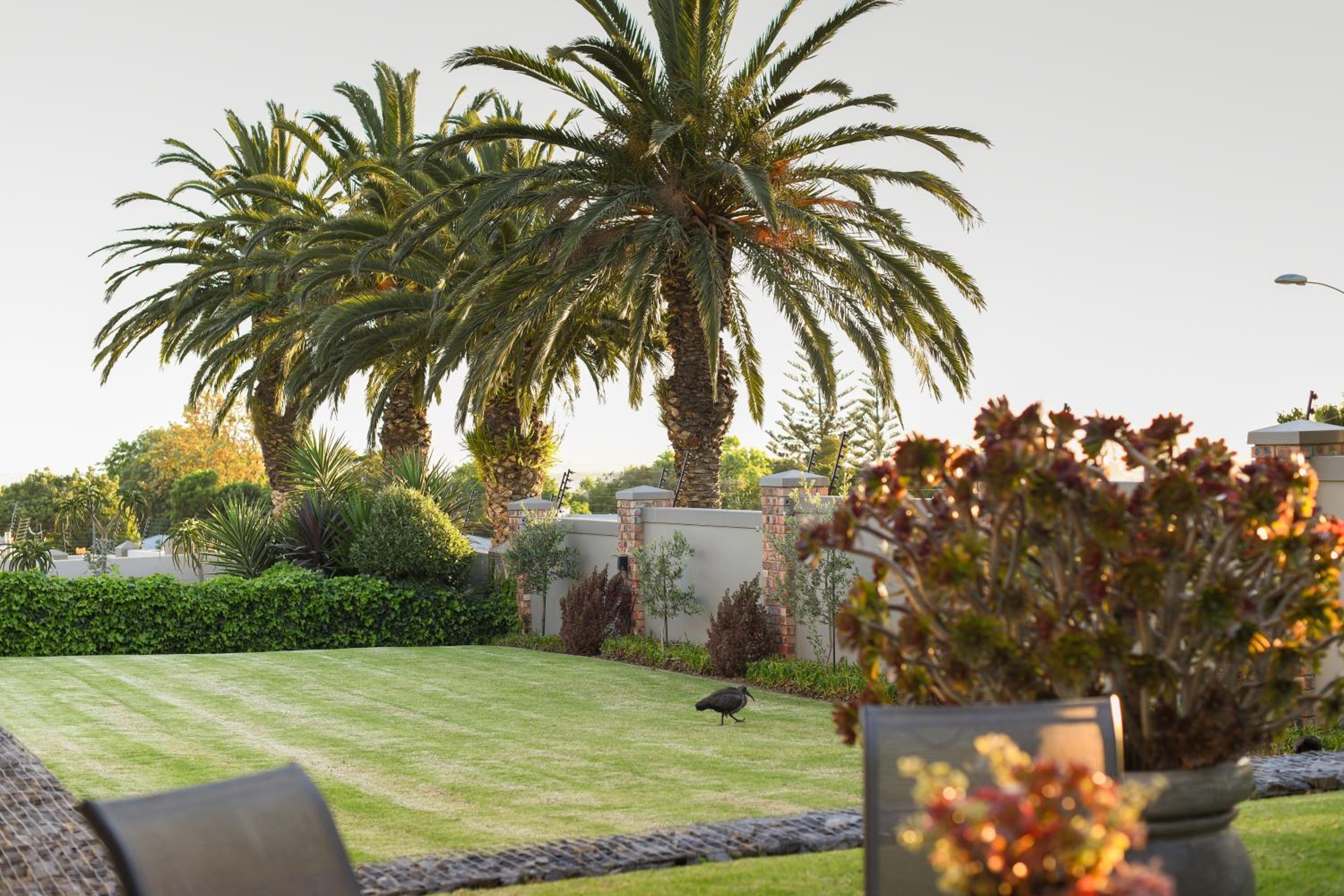 Four Palms Accommodation