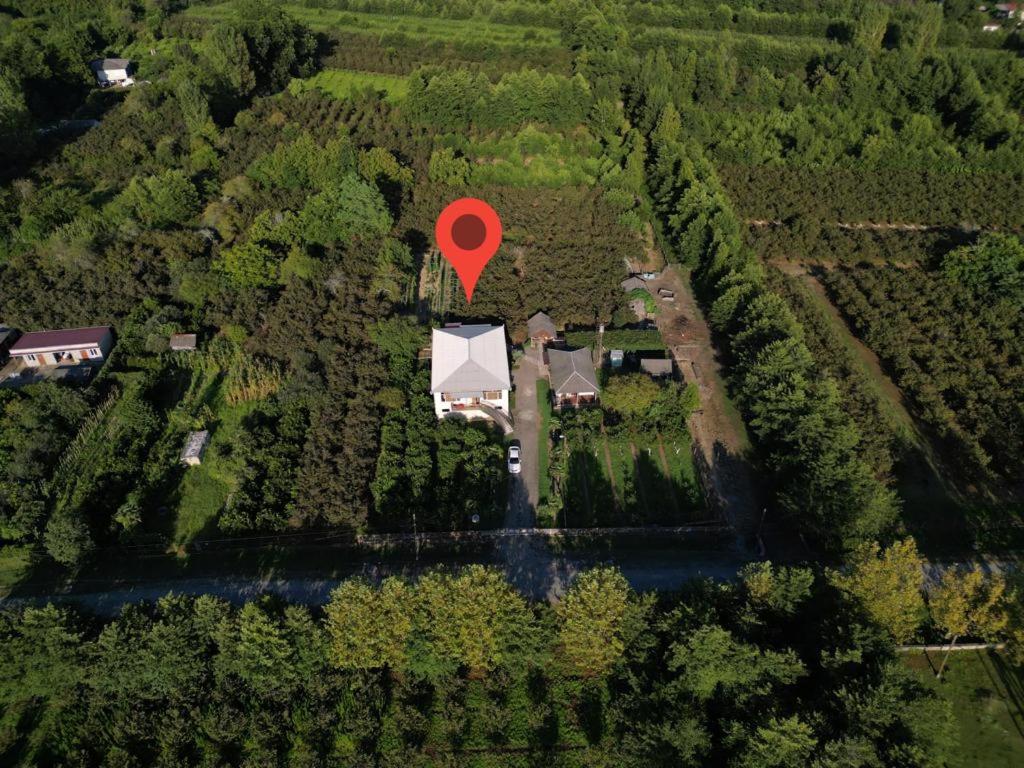 Ani's Green House view 3