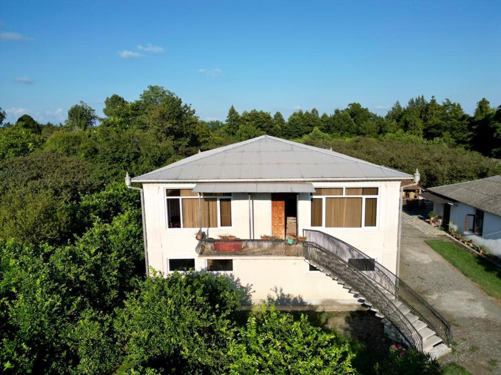 Ani's Green House view 2