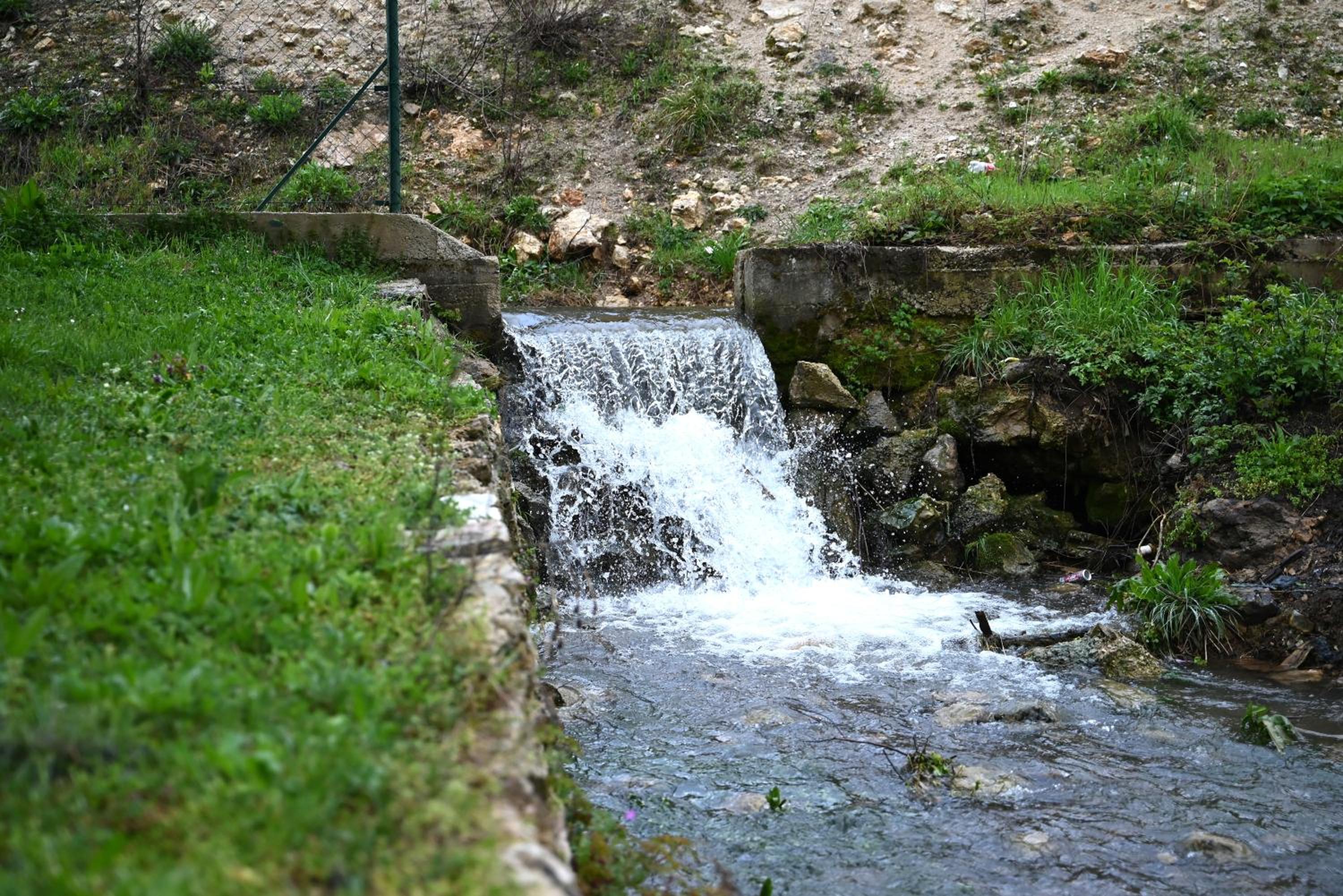Photo 36