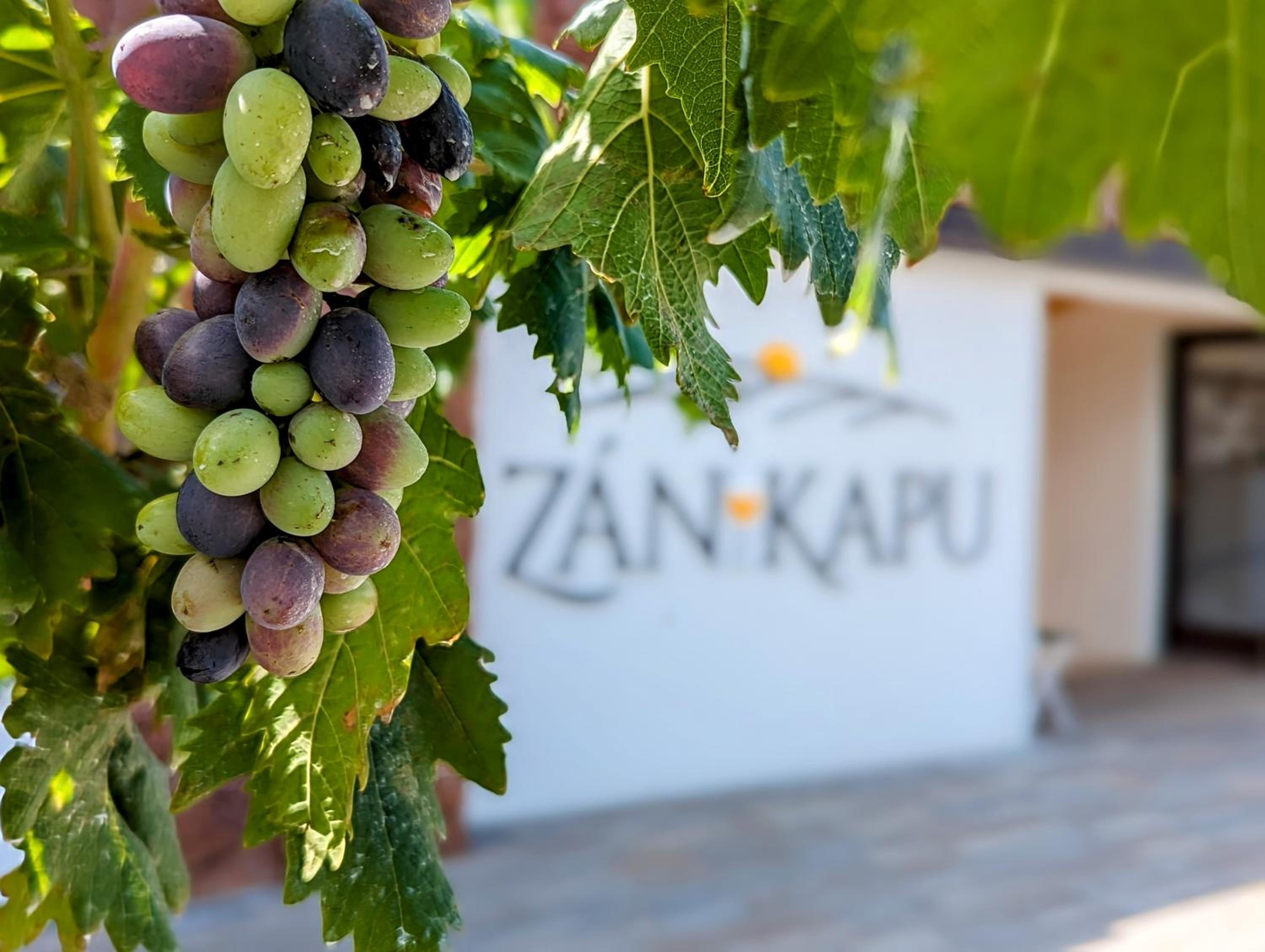 ZÁNKAPU - Hotel for You