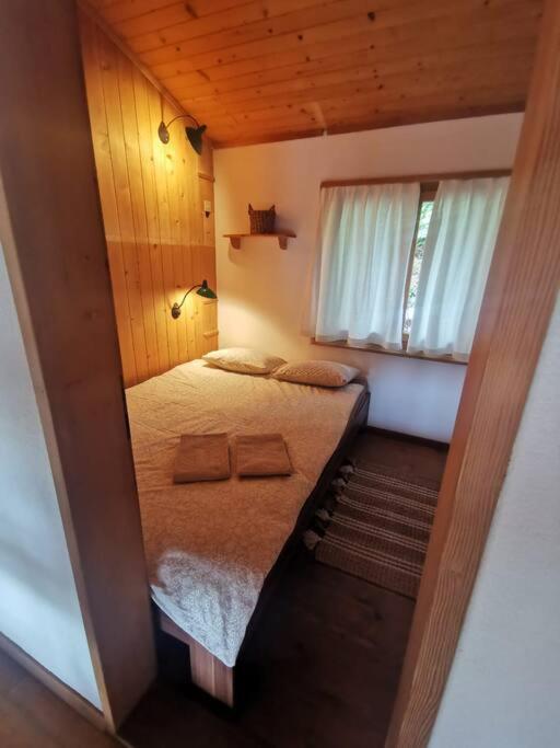 NEB-THUN Seehaus Einigen