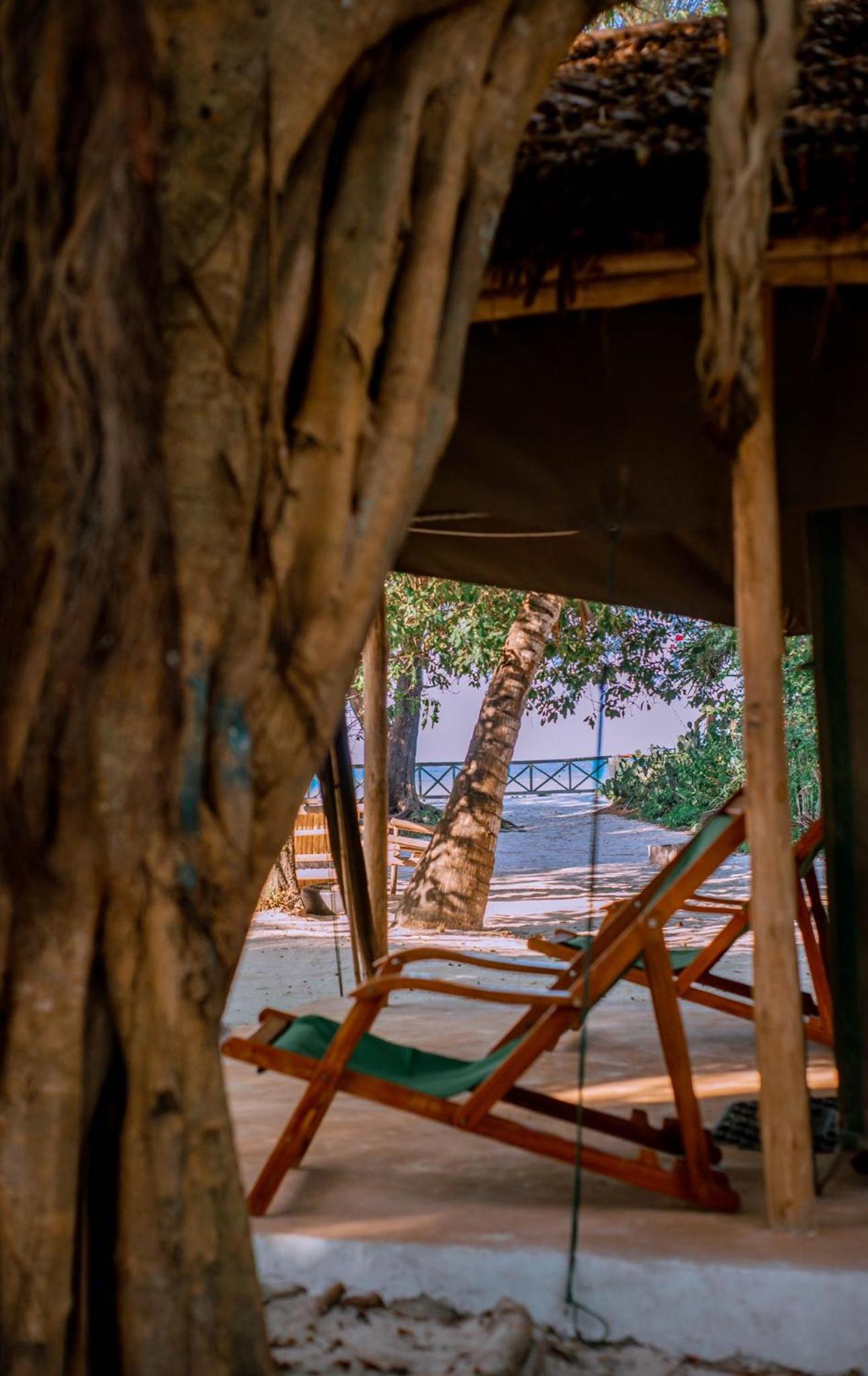 Mikadi Beach Camp & Backpackers view 5
