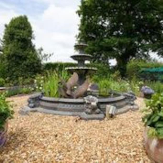 Photo 6