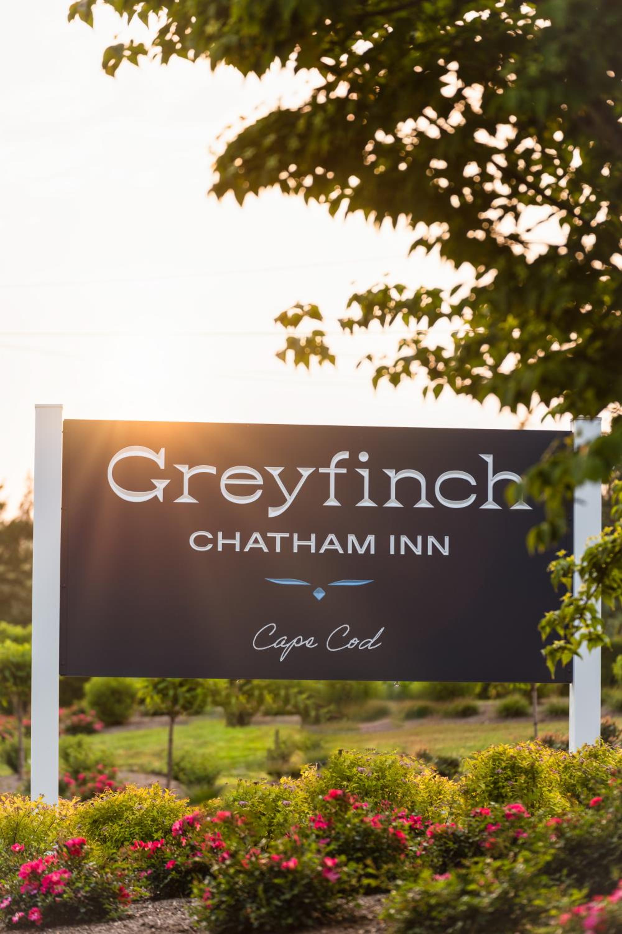 Greyfinch Chatham Inn