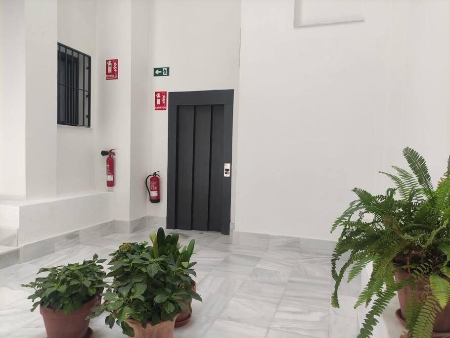 Calm & Design Suite photo 4