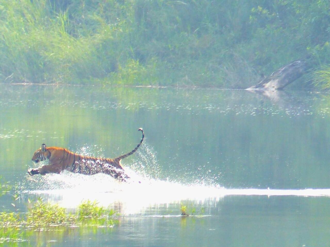 Photo 9