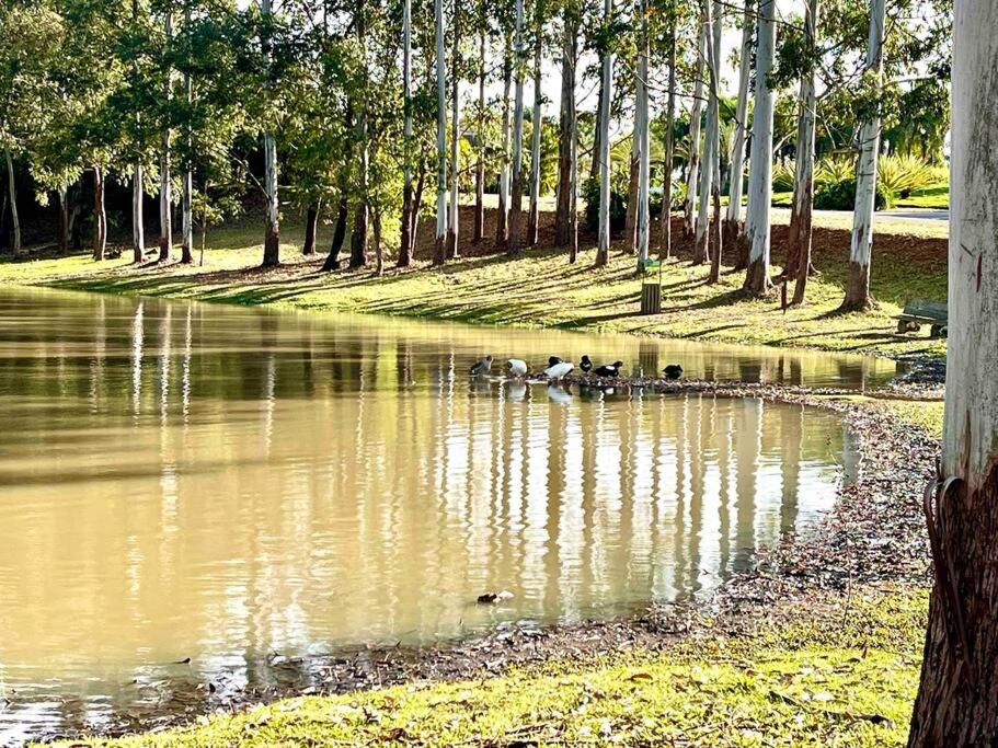 Casa dos sonhos, relaxar Ninho Verde 1 com Piscina