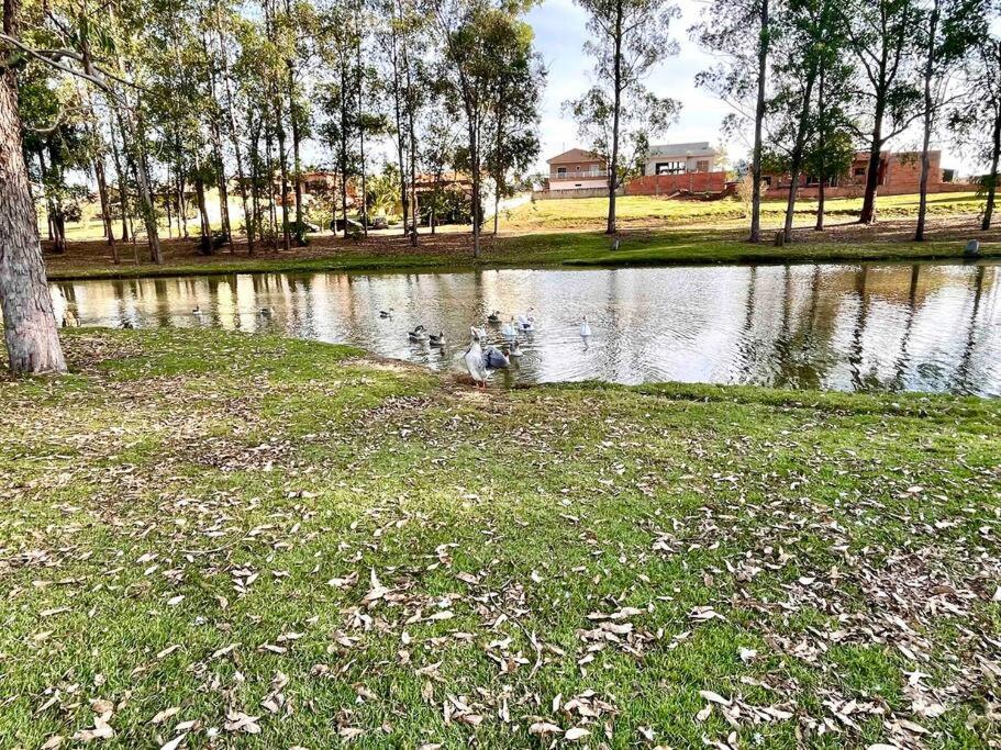Casa dos sonhos, relaxar Ninho Verde 1 com Piscina