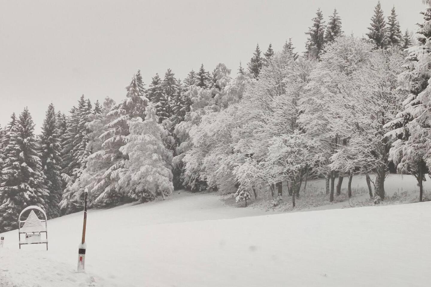 Chalet Luna