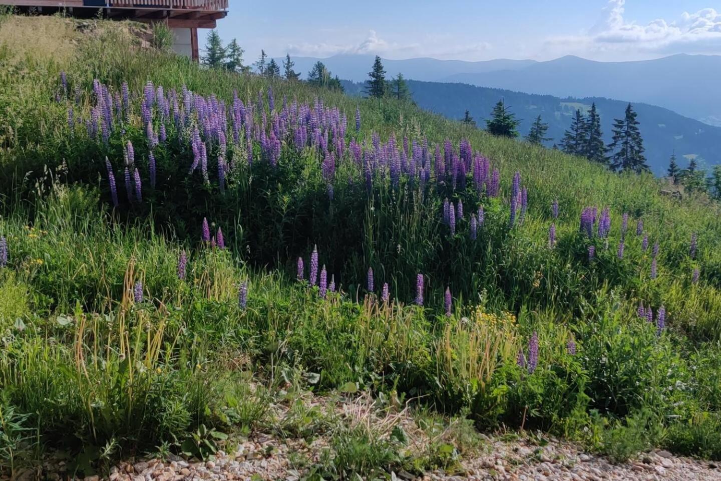 Chalet Luna