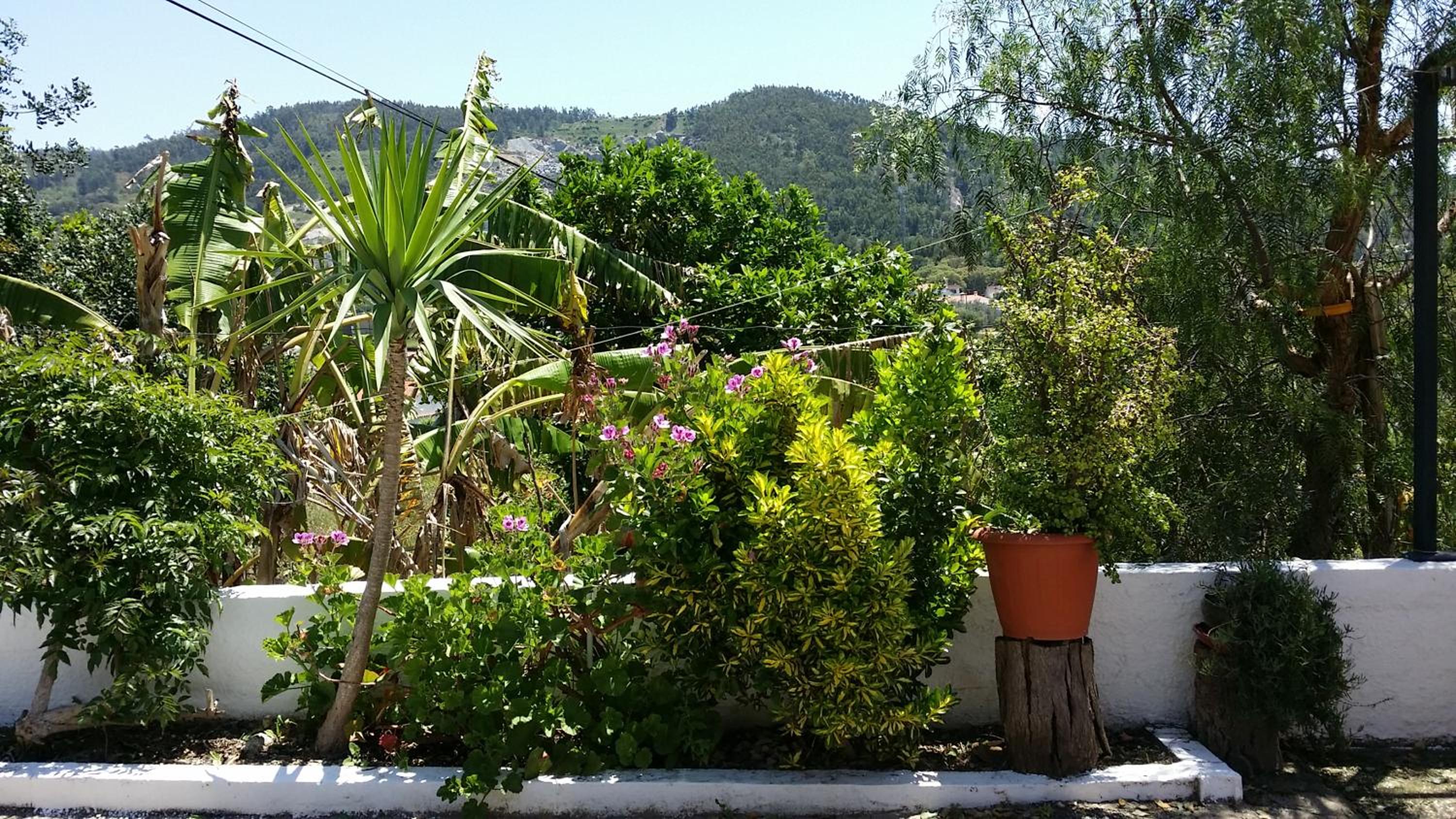 My House - Casa Charme