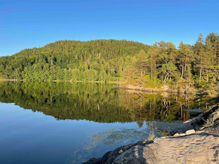 Bosvik Gård, nyrenovert leilighet i hovedhus fra 1756 view 5
