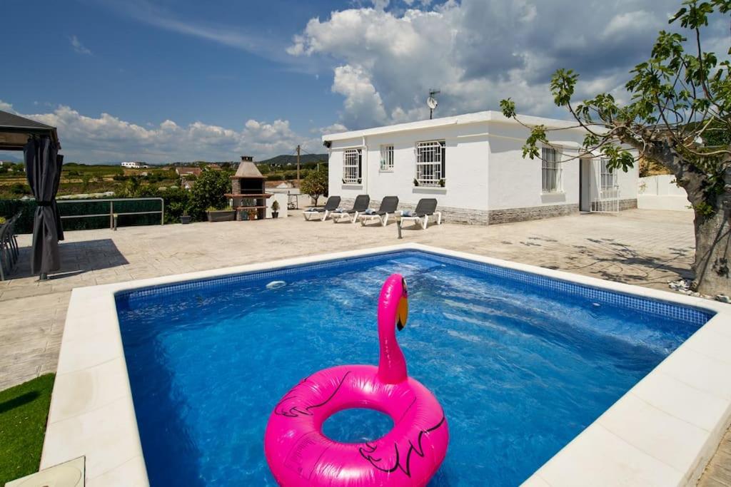 CASA MIMOSA