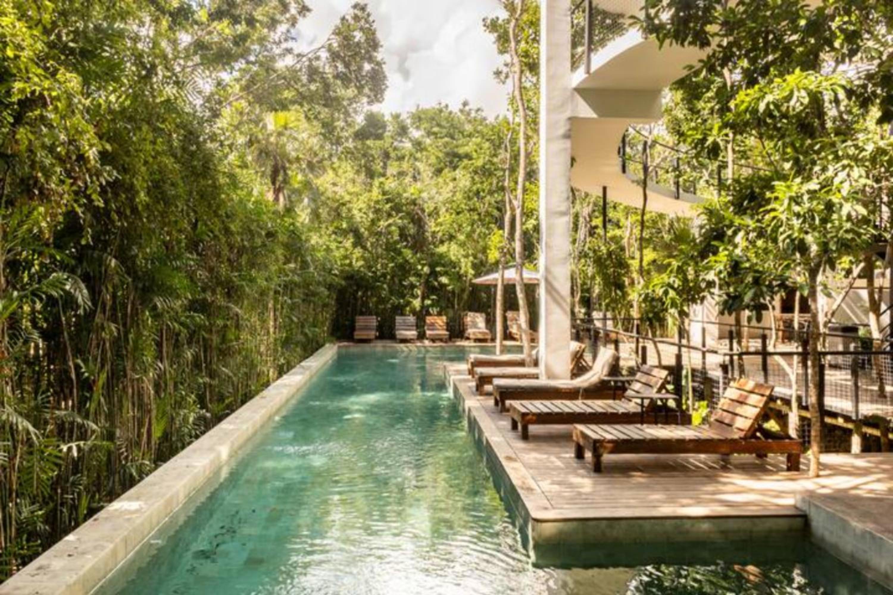 Stunning Jungle House in Tulum TH15 Gym BBQ Private pool
