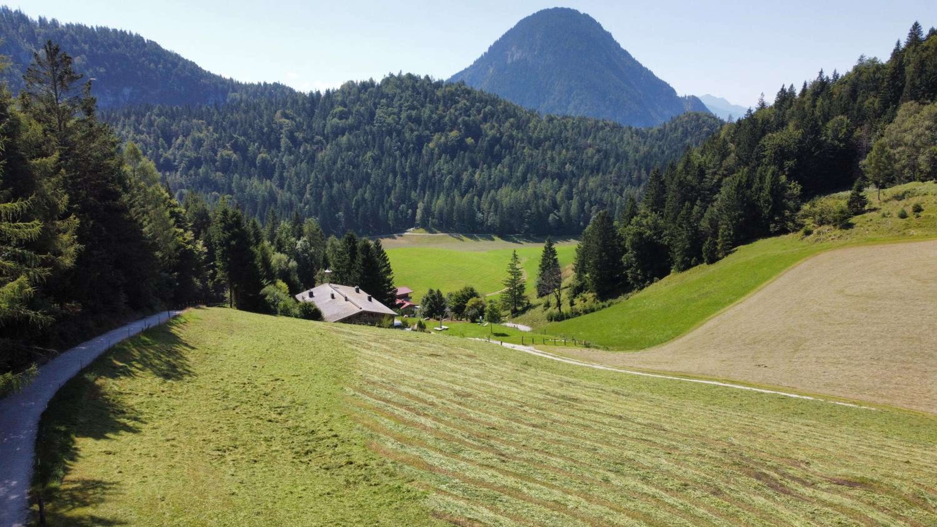 ChaletWK - Luxury old wood mountain chalet in a sunny secluded location with gym, sauna & whirlpool