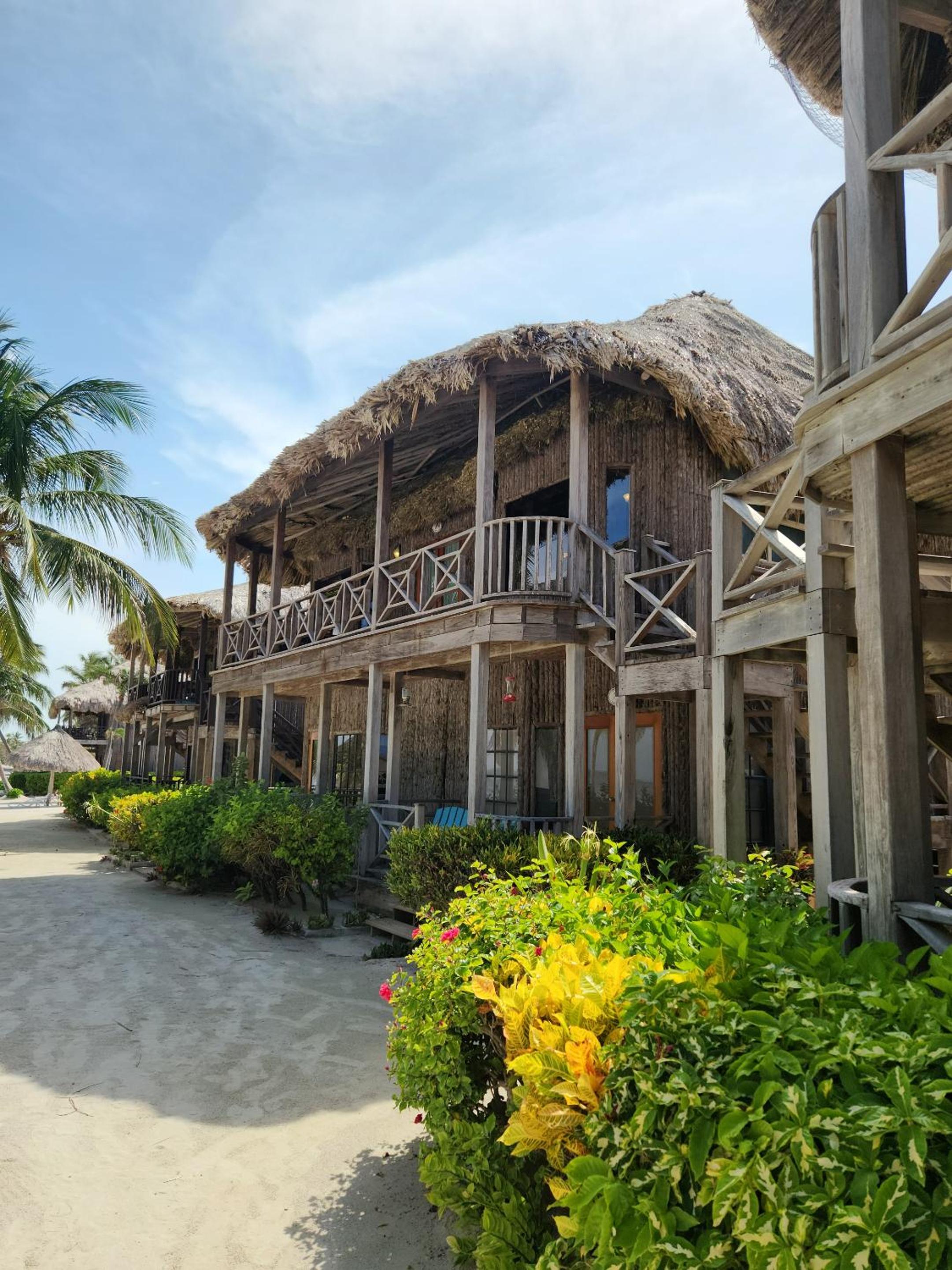 Dolphin Dreams Villa B3