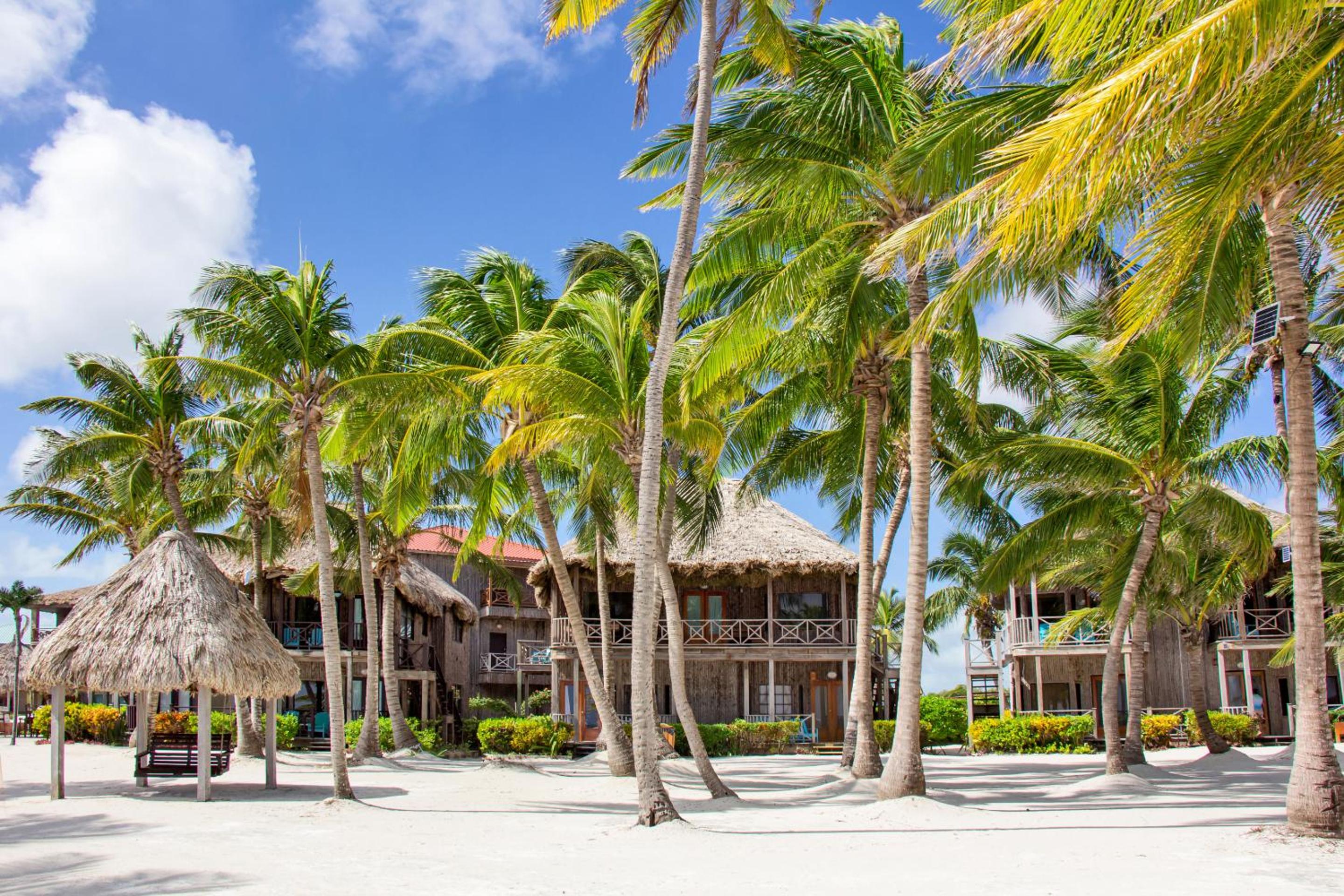 Reef's Villa D1