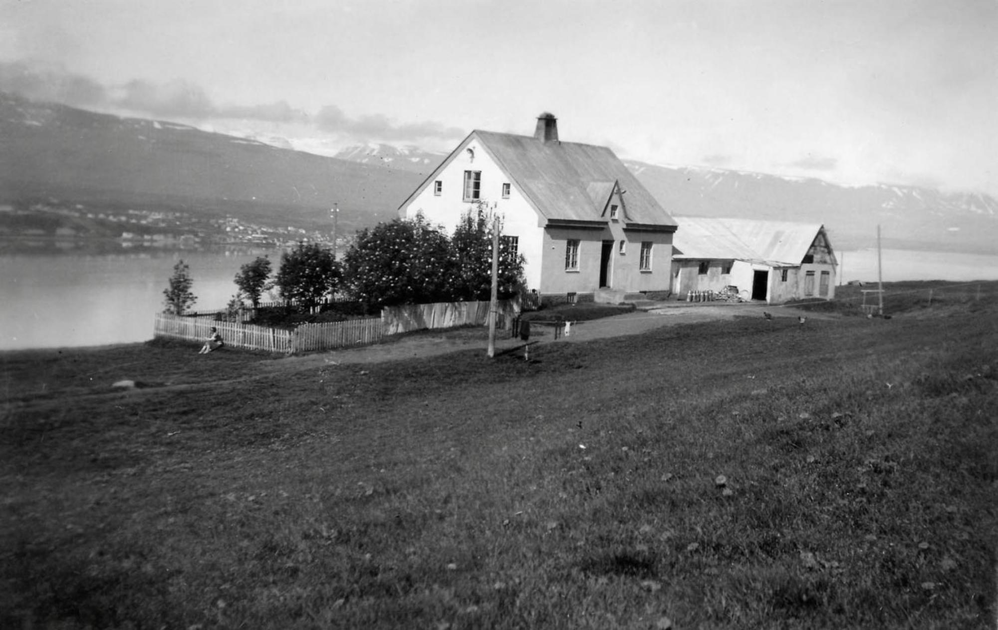 Photo 10