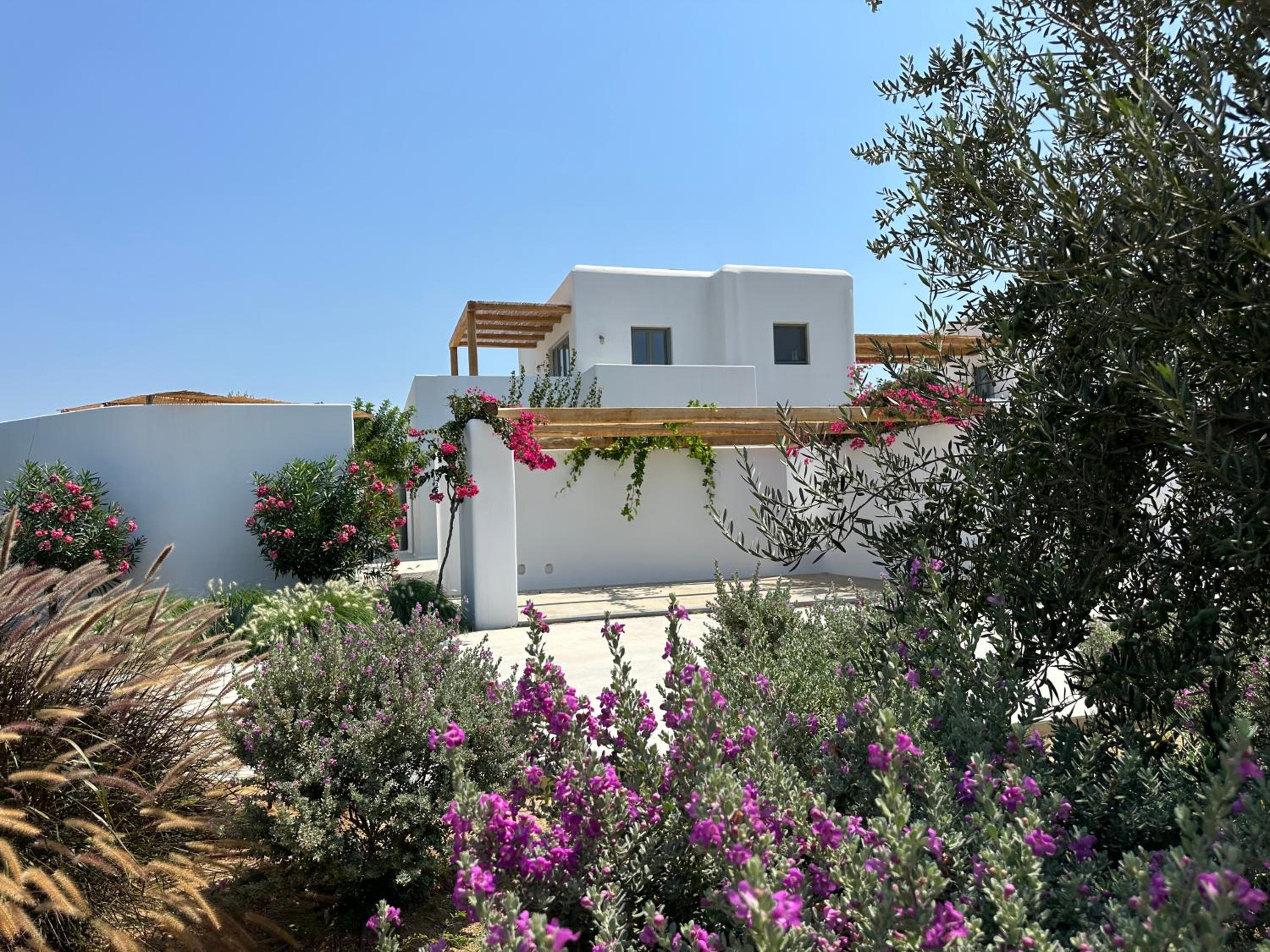 Hotel Alio Naxos Luxury Suites - Image 1