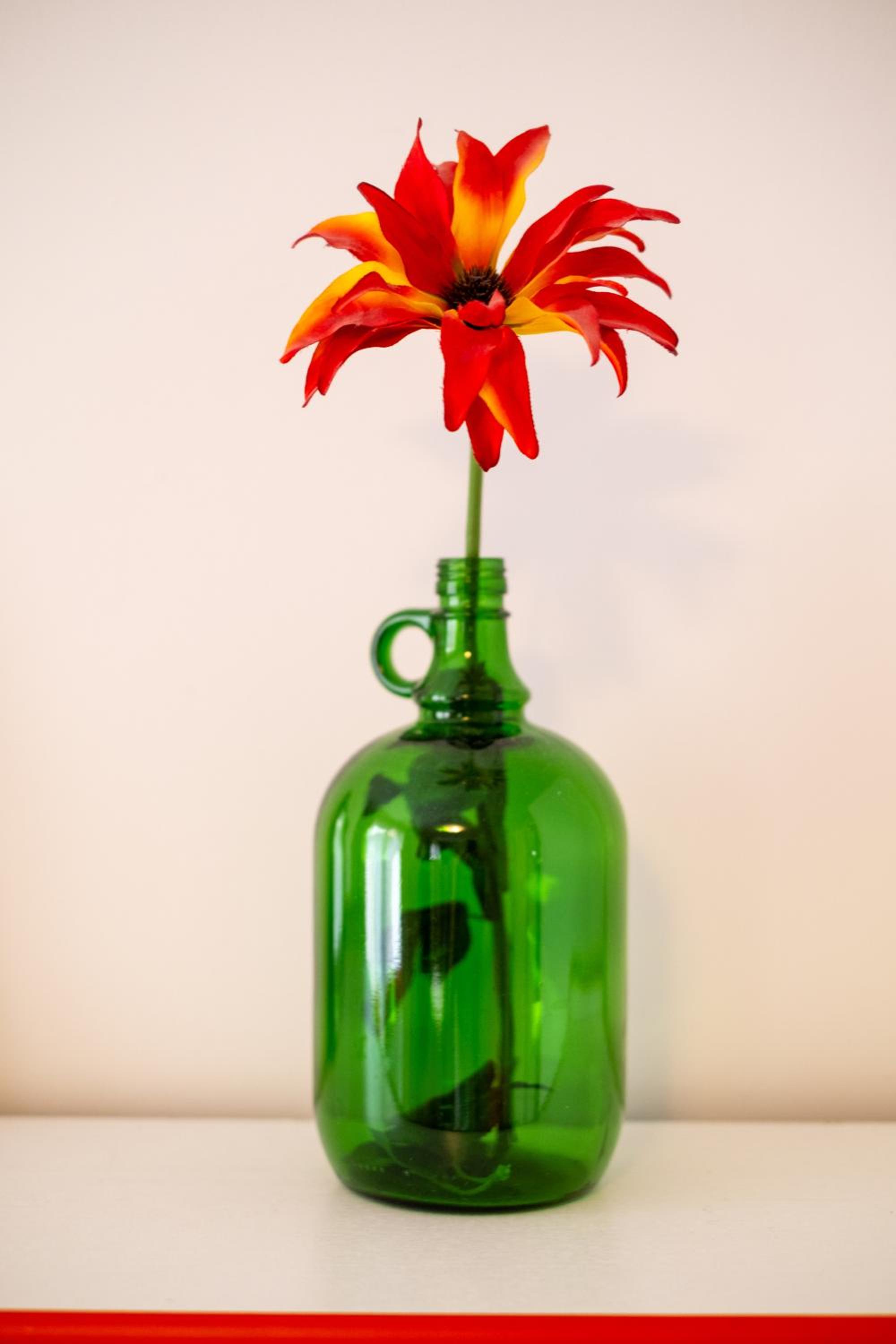 Guesthouse Rose