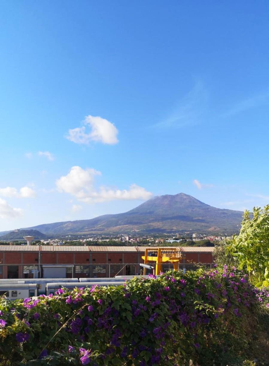 B&B PARNASO view 2