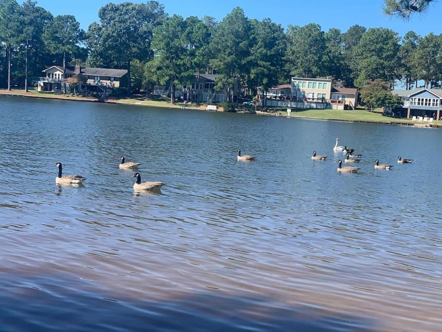 Sanford Vacations - Modern 3br Lake front home - Property Image 23