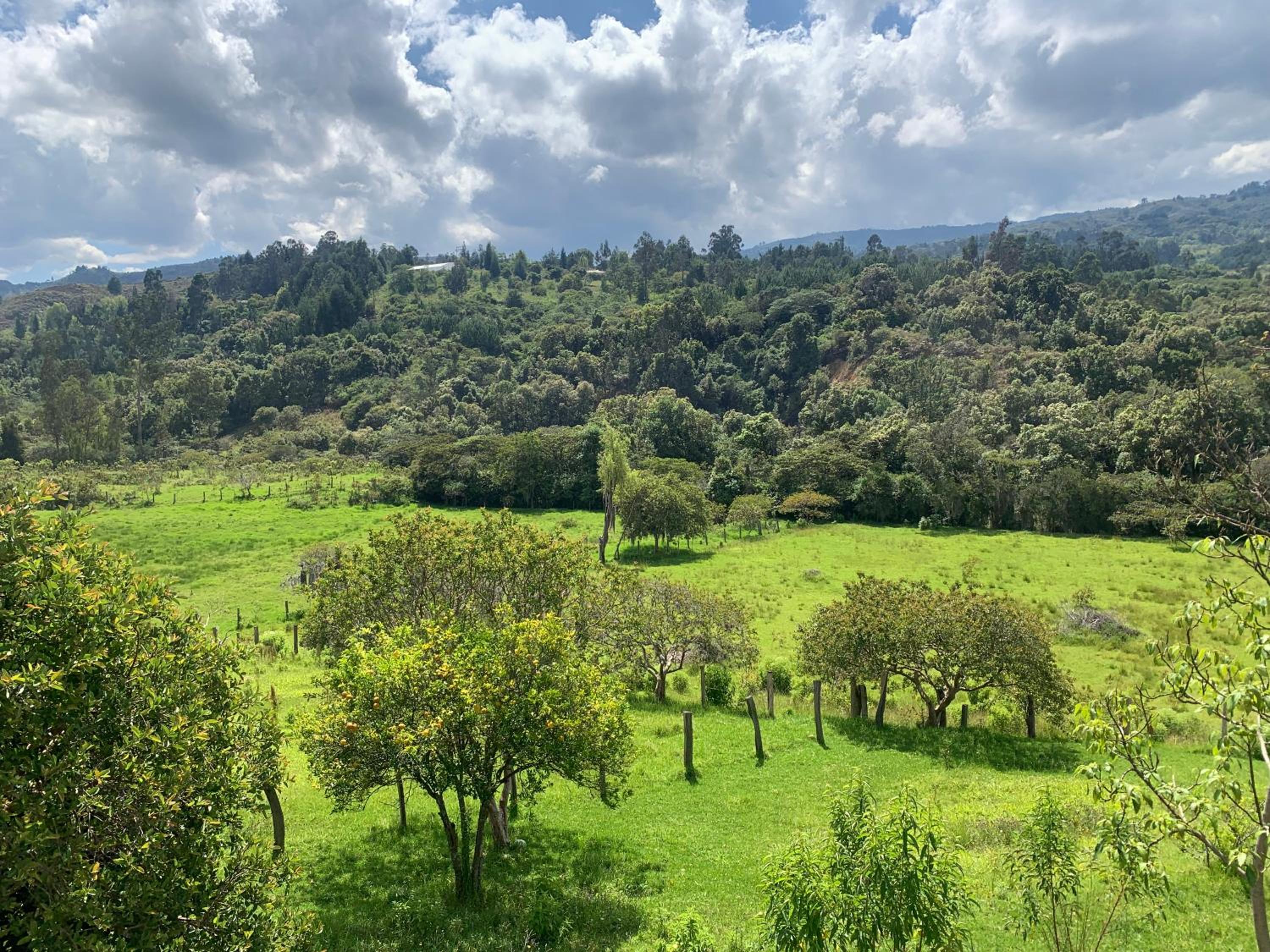 Rivera Campestre