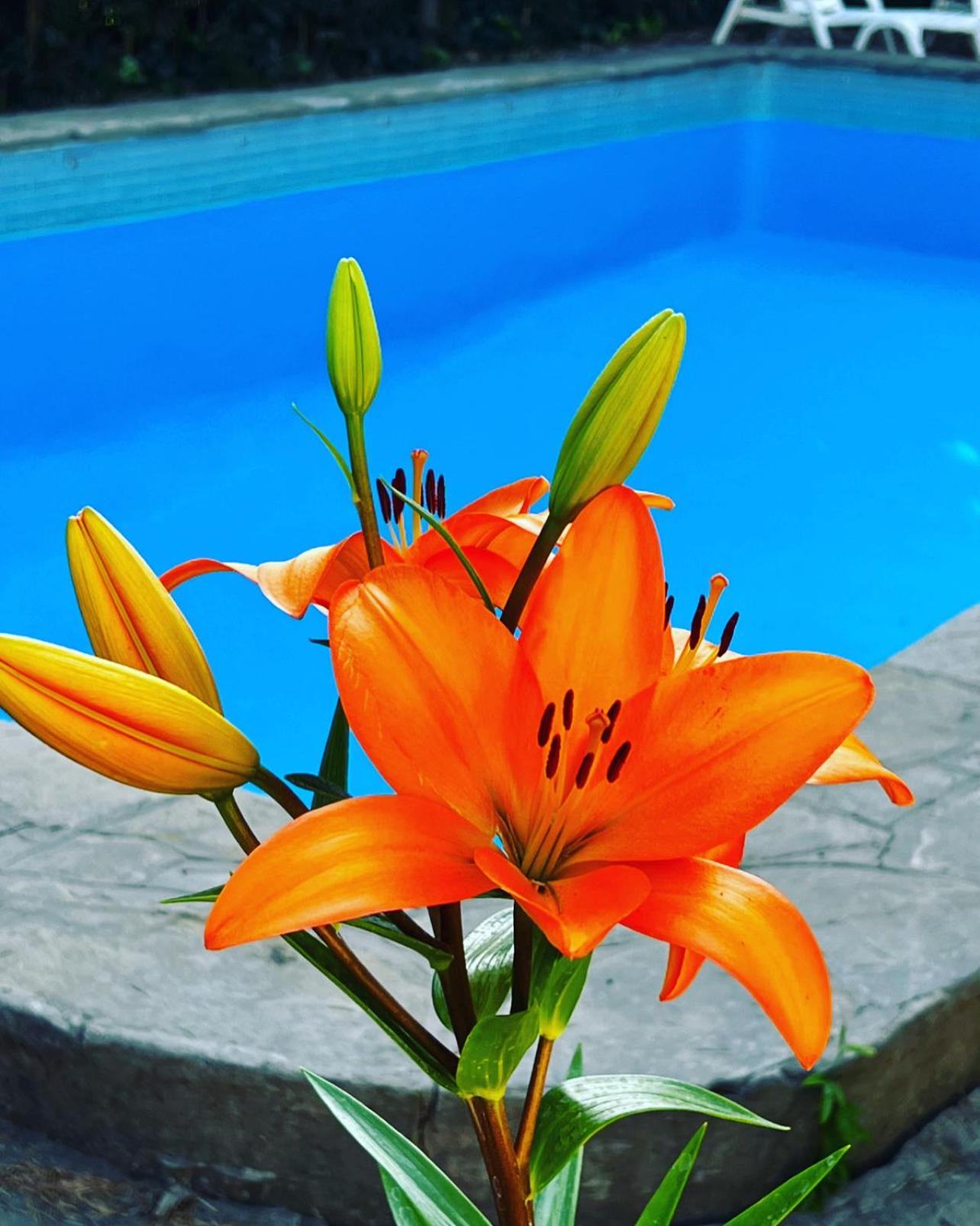 Casa Quinta Tigre Benavidez