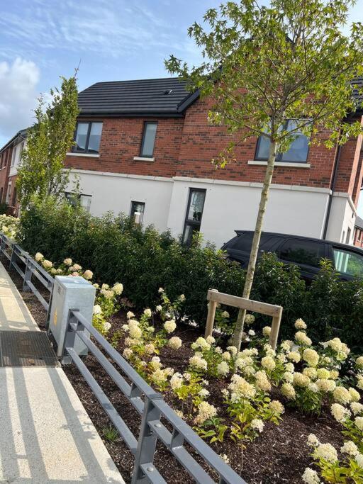 3 bed rooms Vip family house
