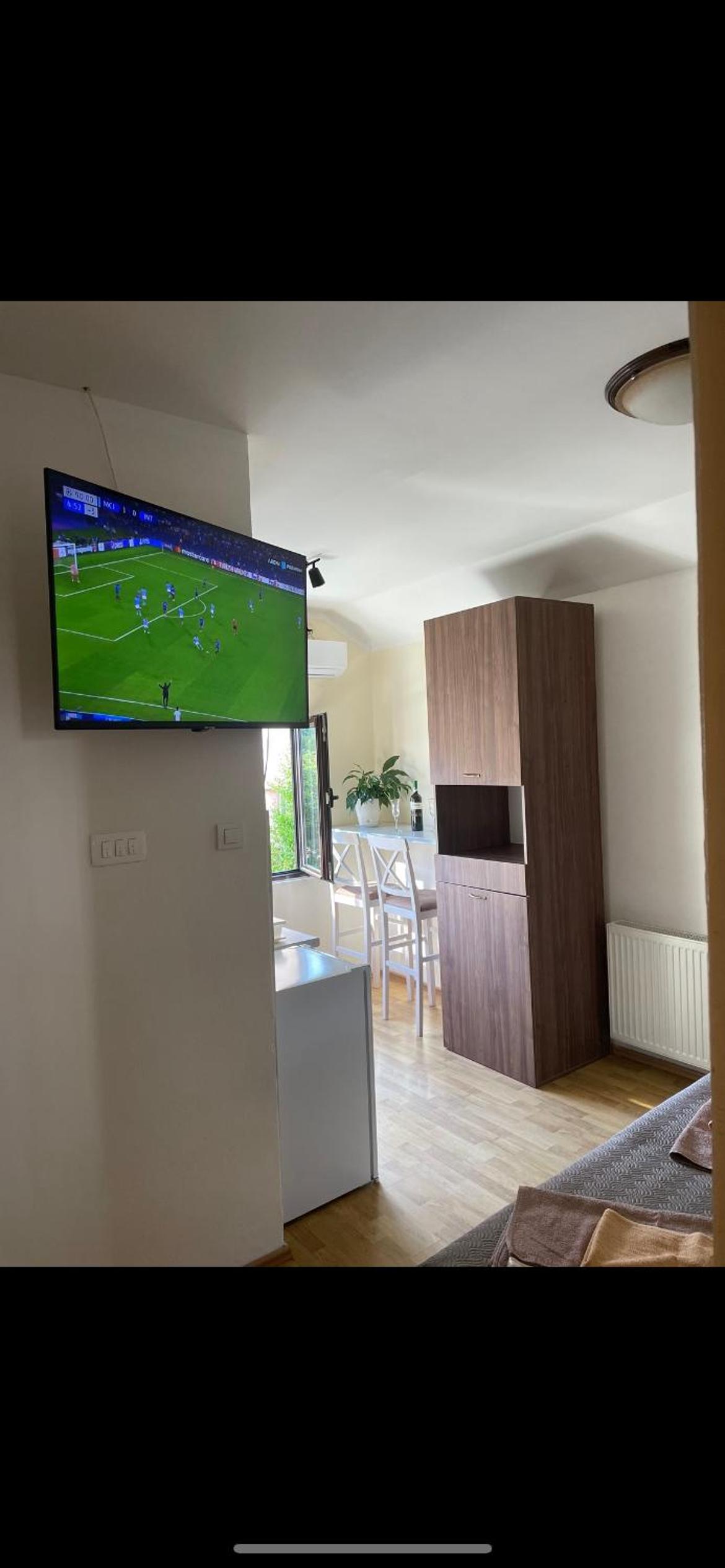 Apartman Grujicic 1 view 2