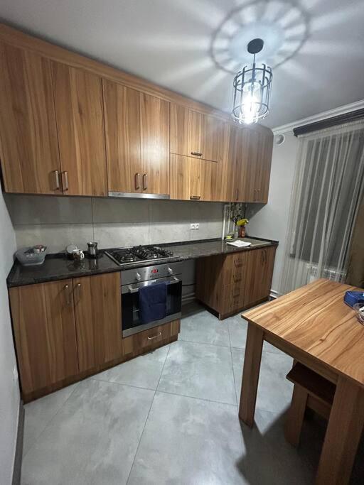 1Cosy apartment near airport EVN