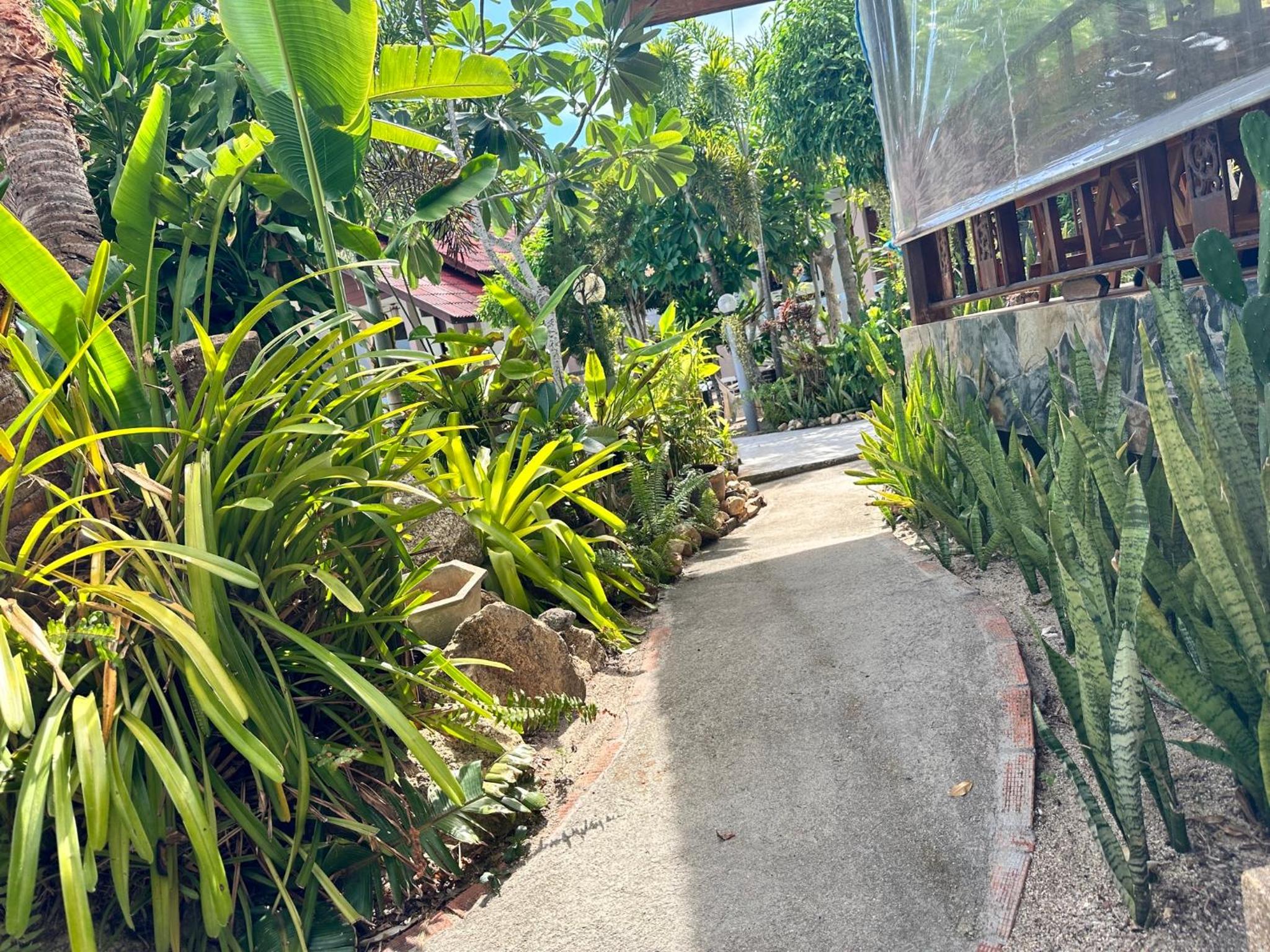 Phangan Lodge