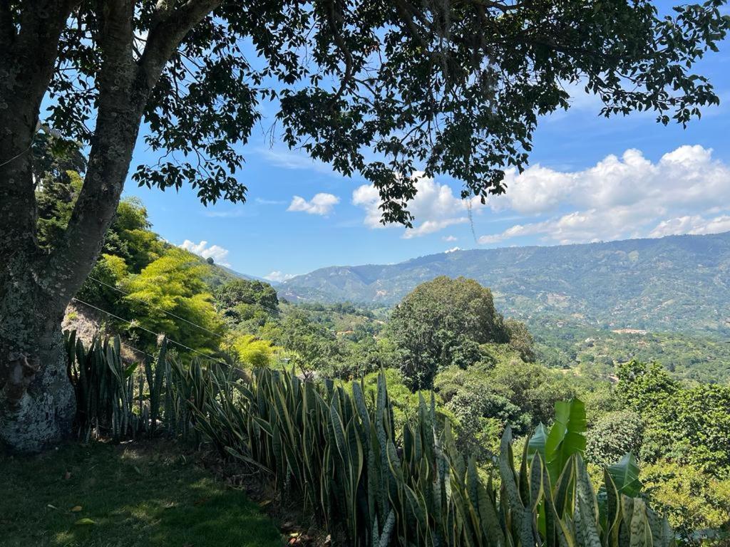 casa con una vista increíble a la ciudad