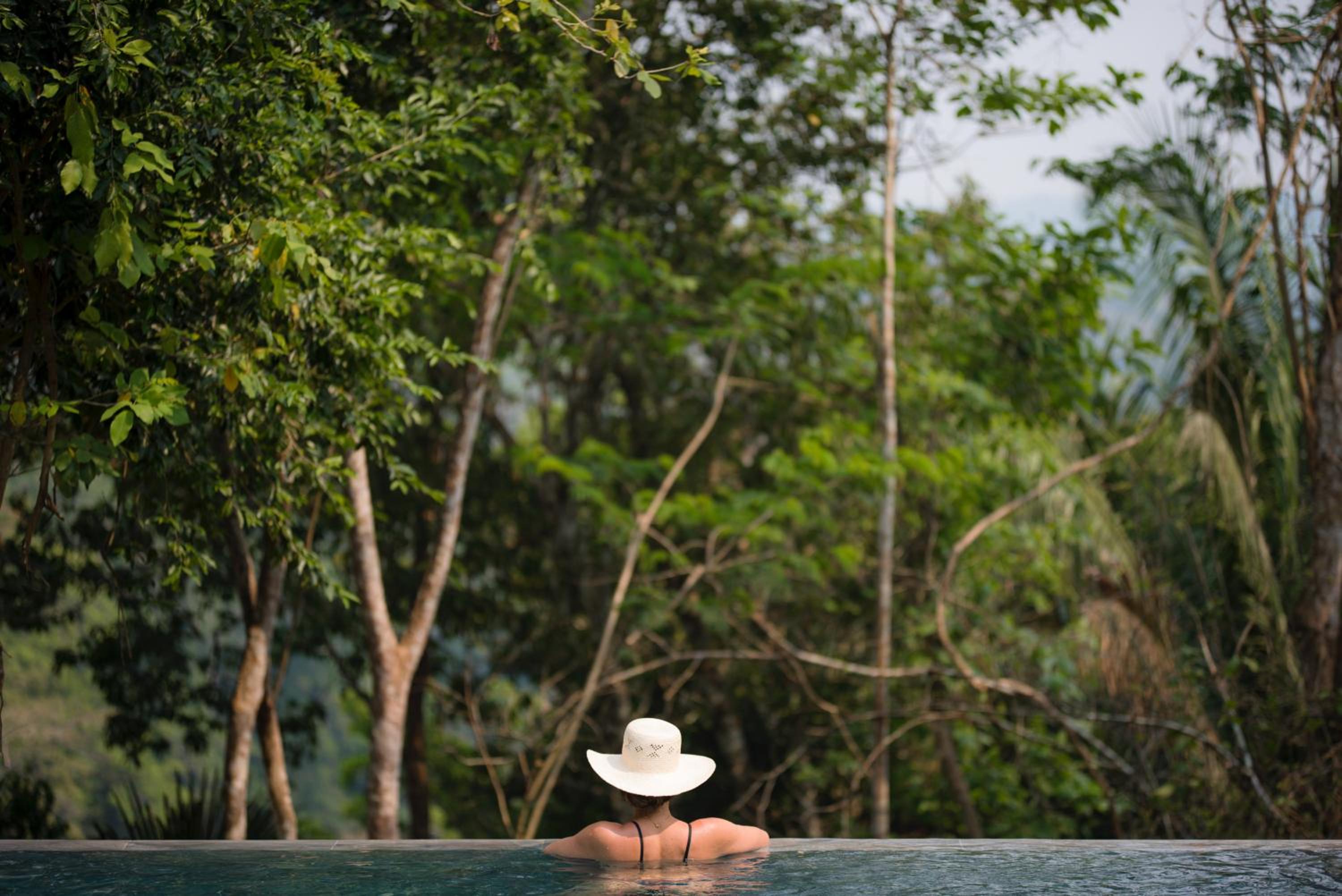 Sweet Songs Jungle Lodge