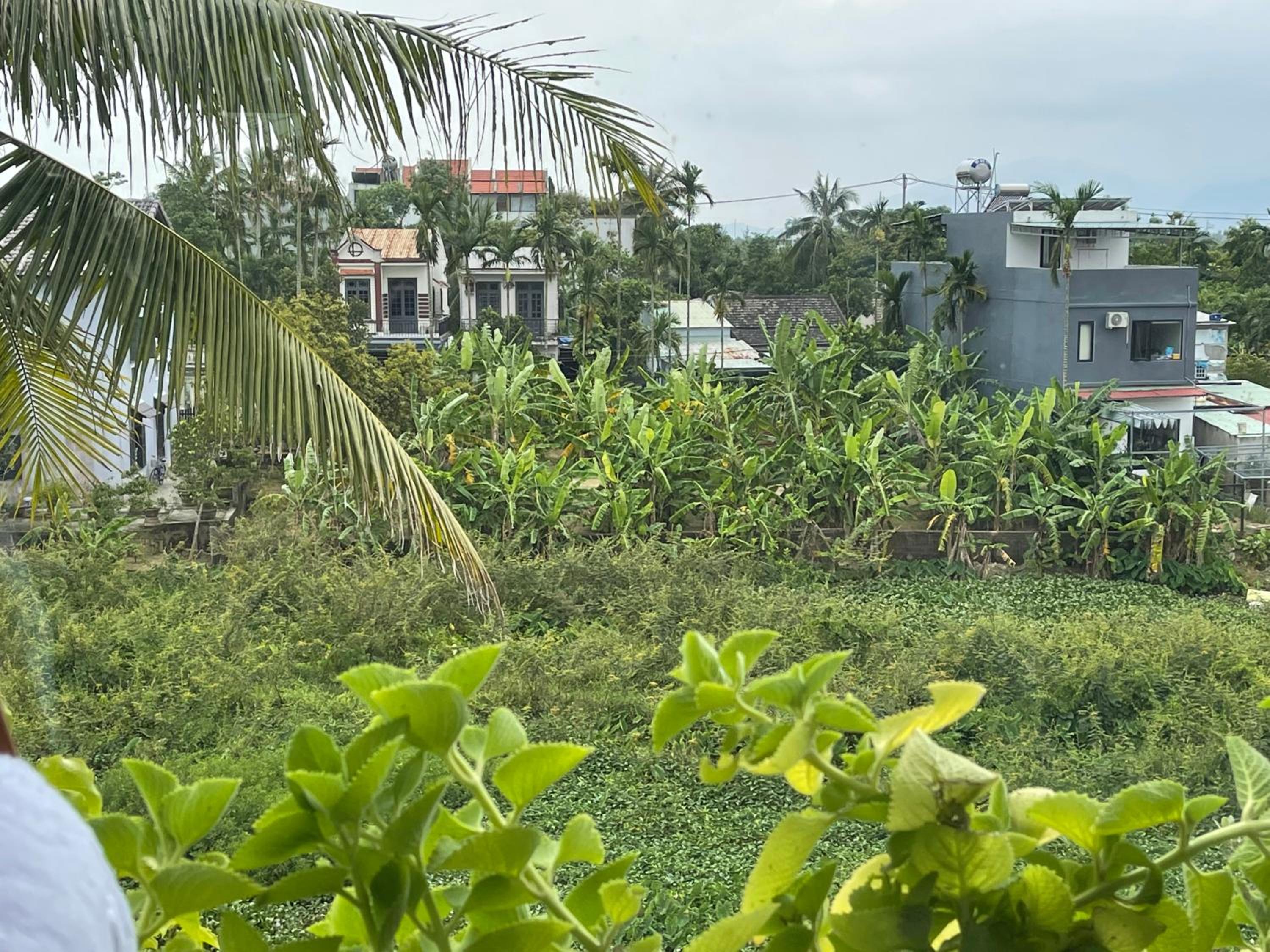 Hoi An Ti Hon House view 5