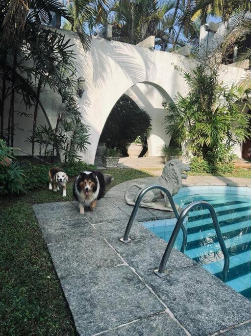 Casa aconchegante,perto da praia,com piscina,muito jardim,e pet friendly