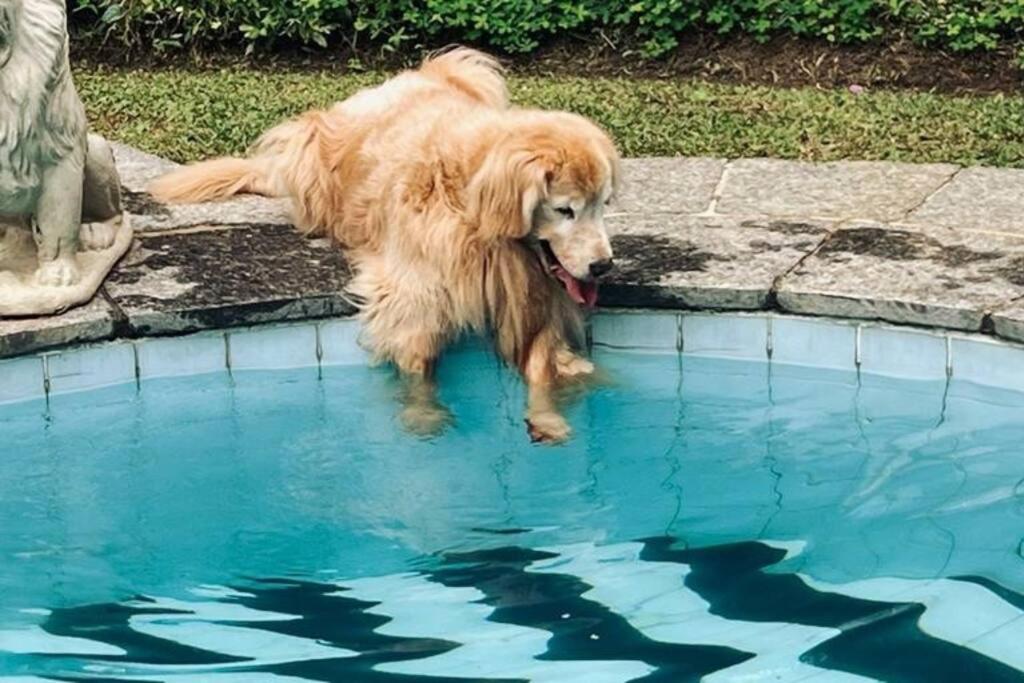 Casa aconchegante,perto da praia,com piscina,muito jardim,e pet friendly