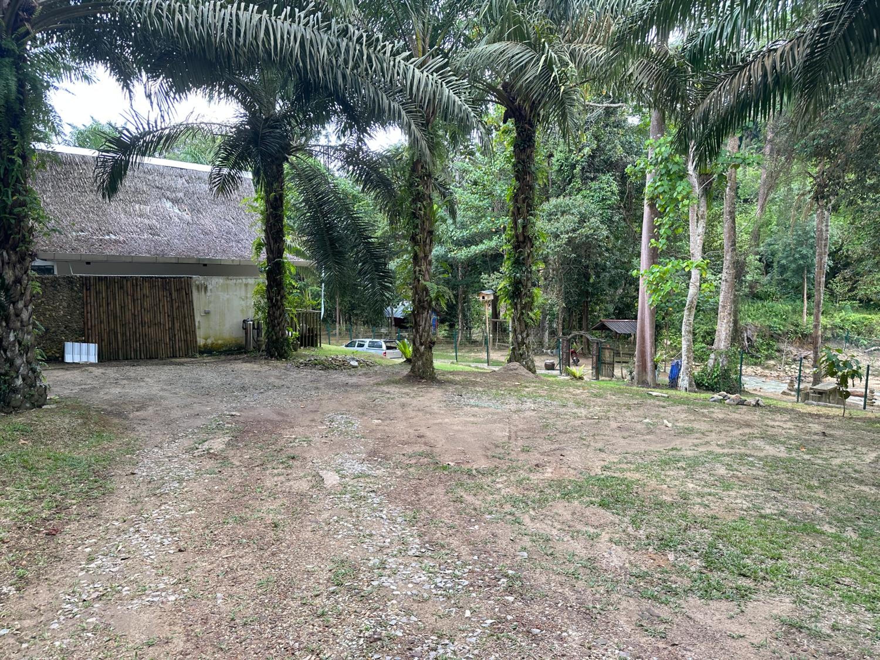 Photo 37