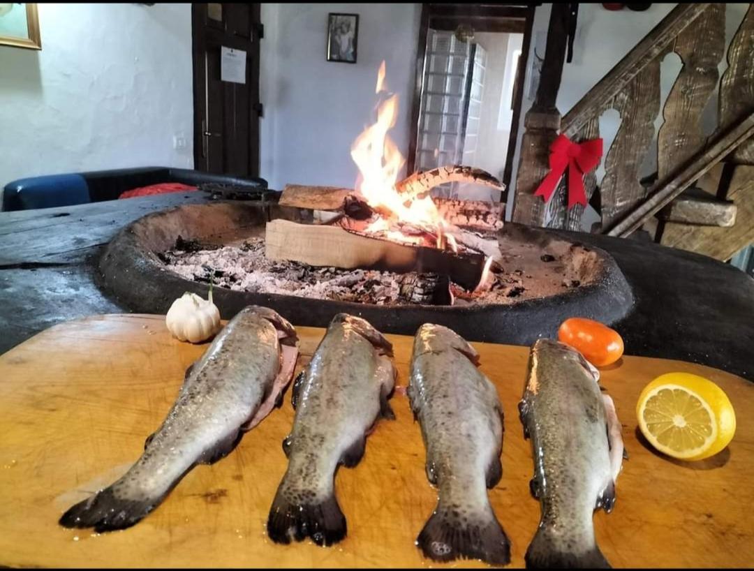 Casa de hodina Maria view 2