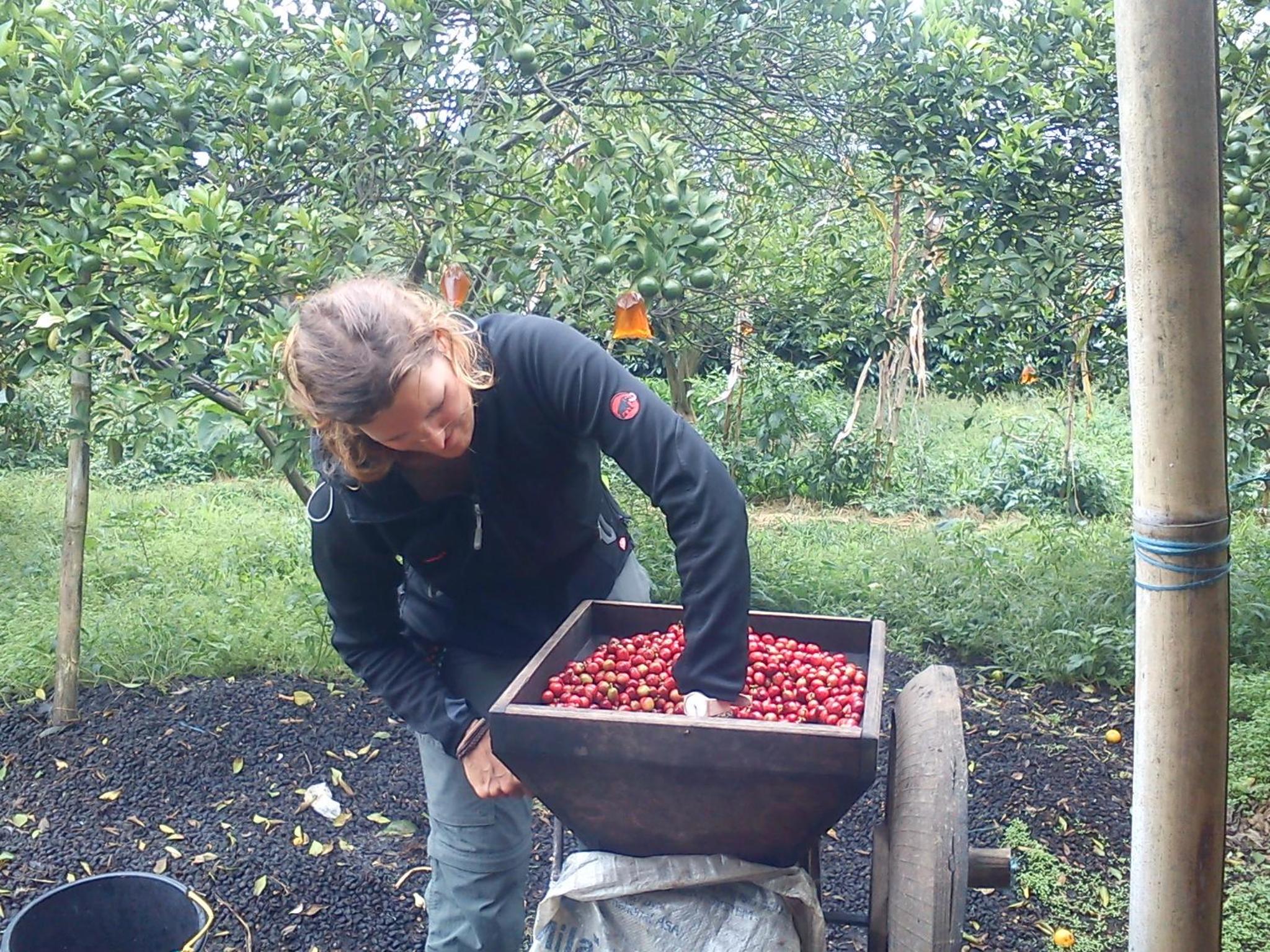 Vulkaan Homestay