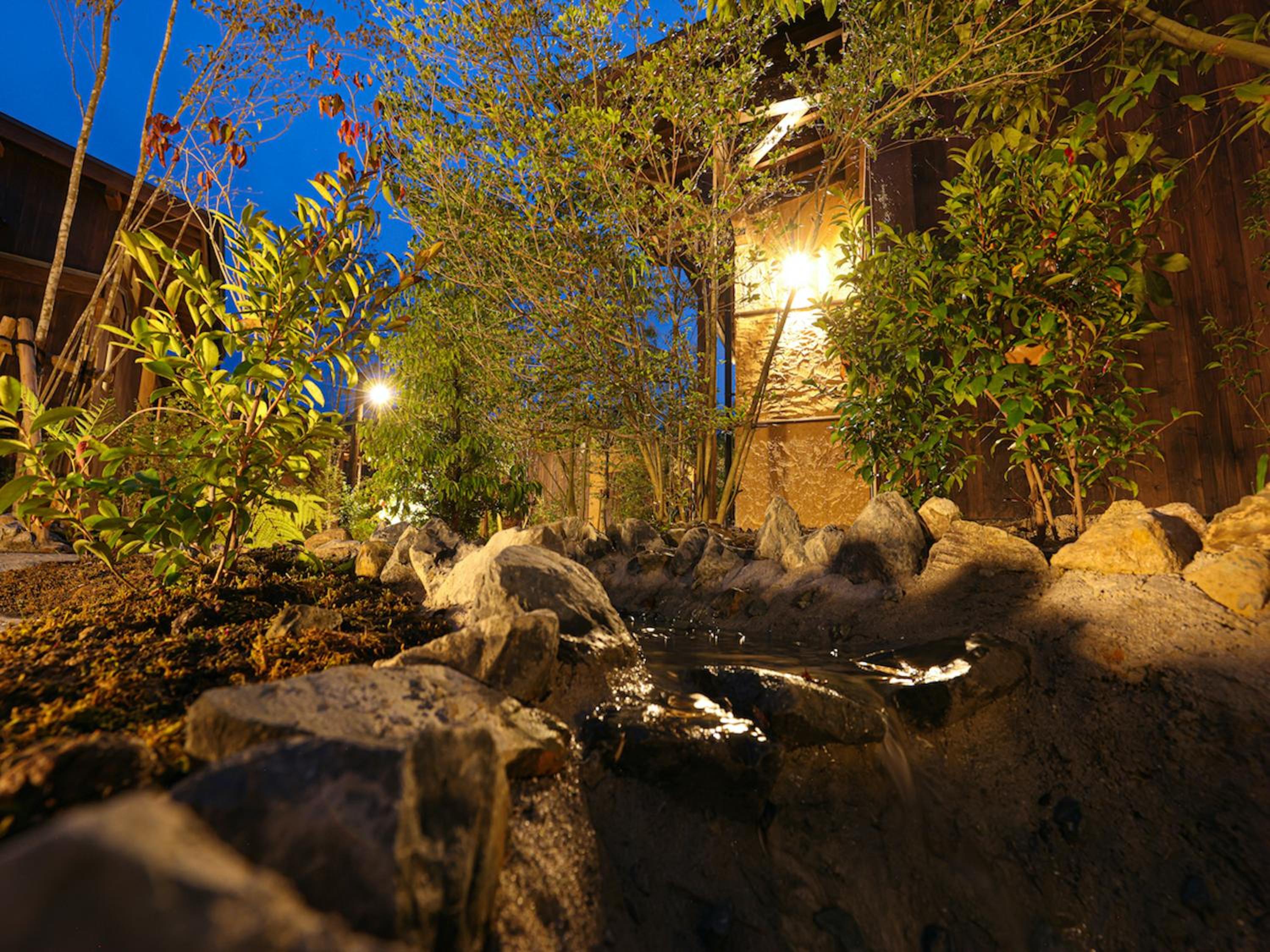 Photo 31