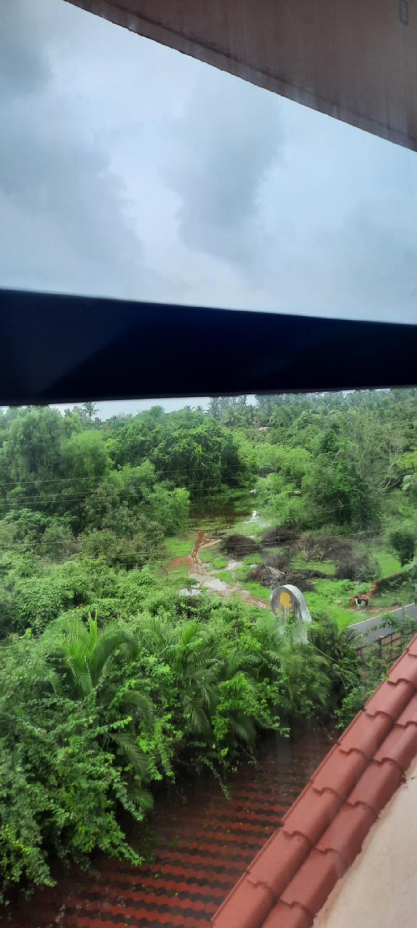 Eve Resort, photo 46