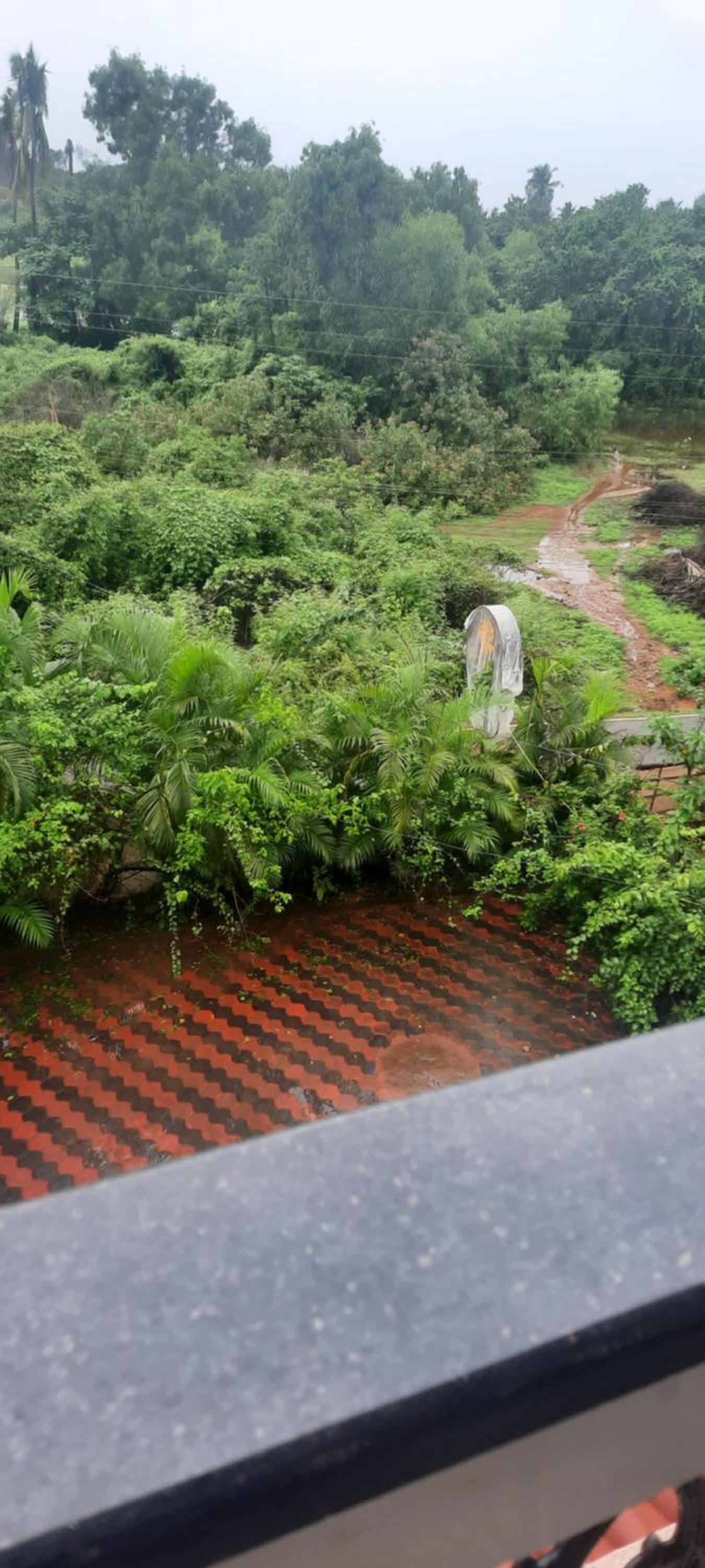 Eve Resort, photo 24