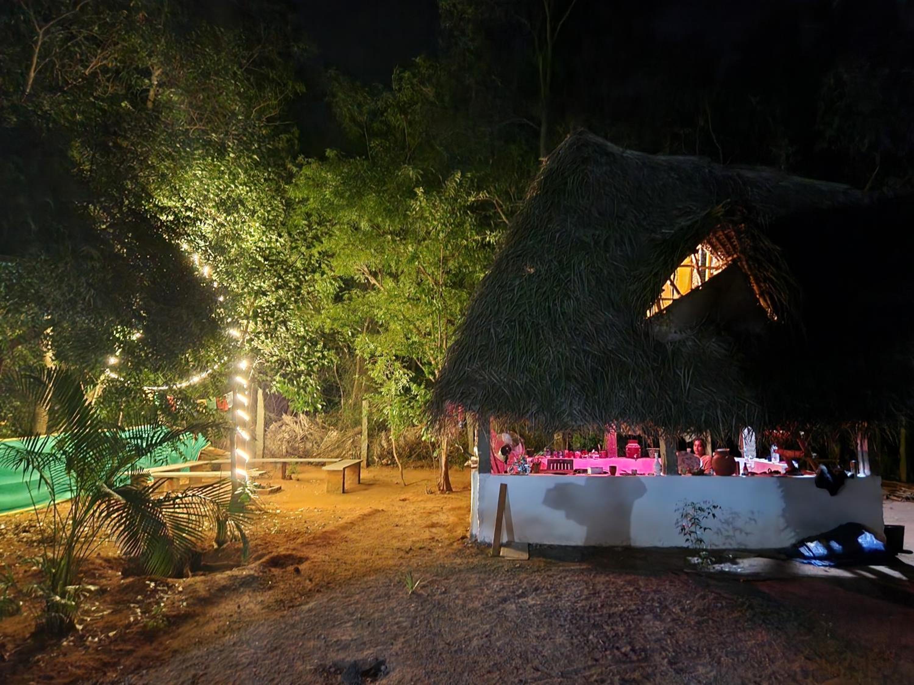 Nebula Nest Cafe & Hostel view 5