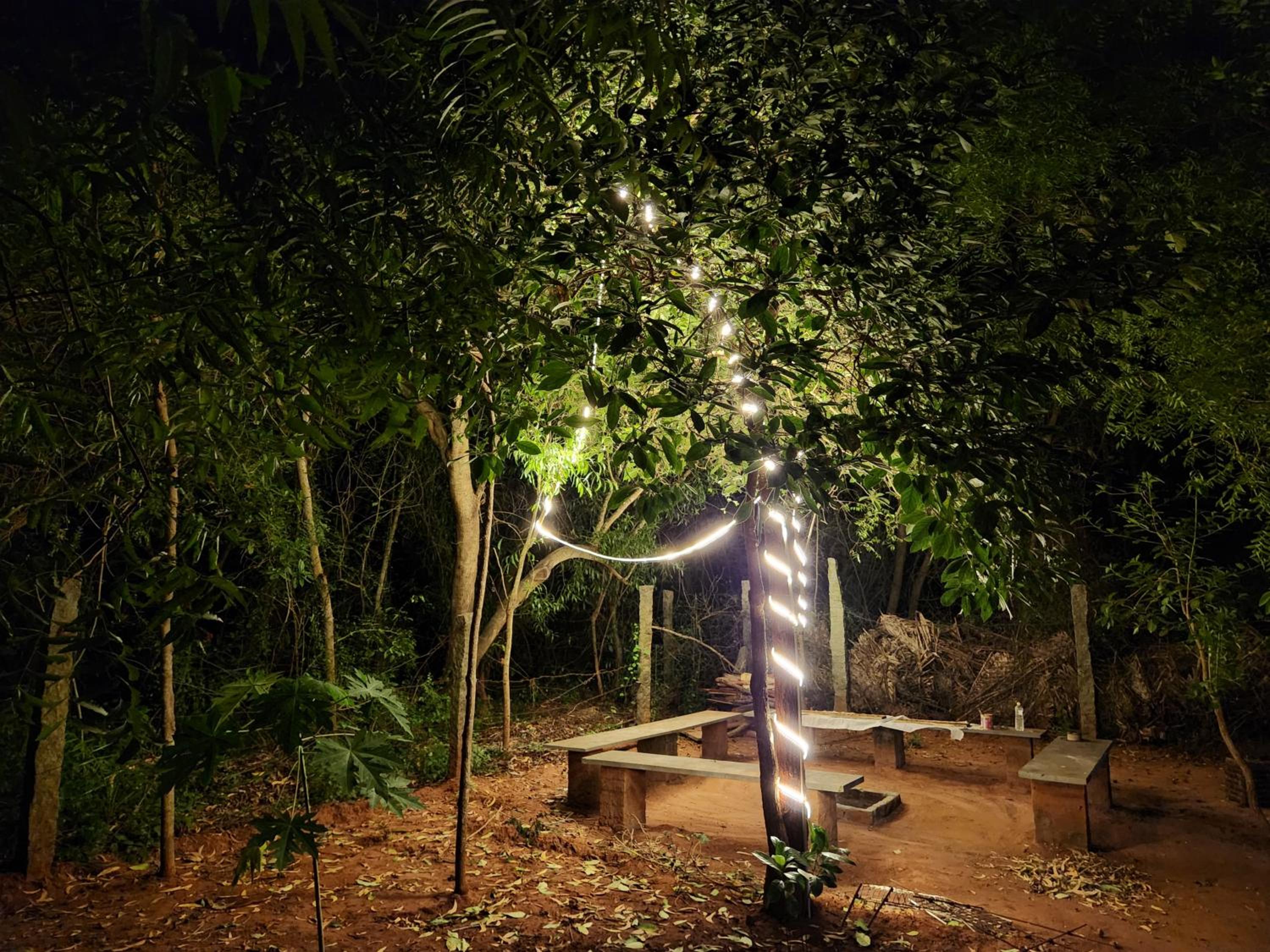 Nebula Nest Cafe & Hostel view 3